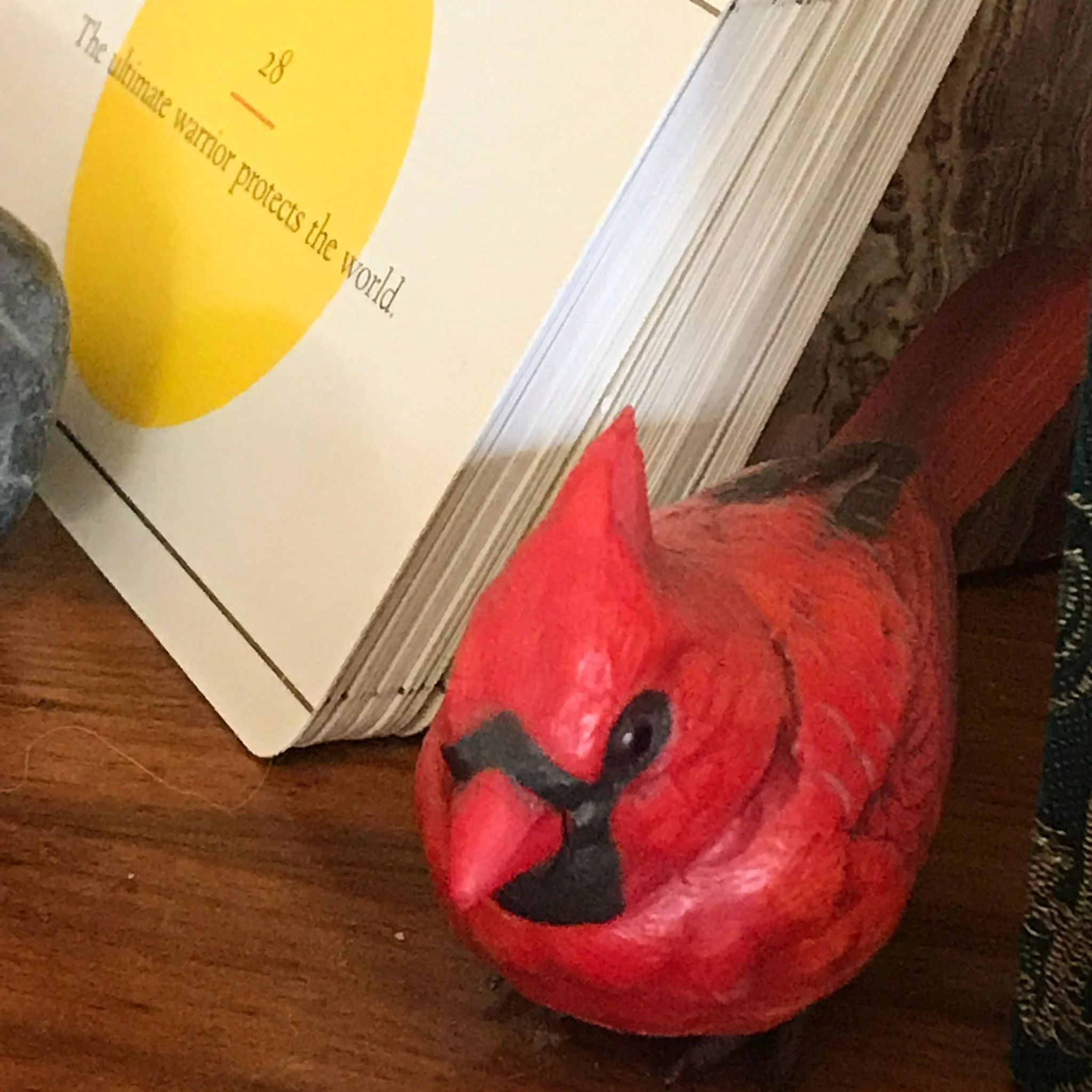 The Great Backyard Bird Count : February 16-19🕊