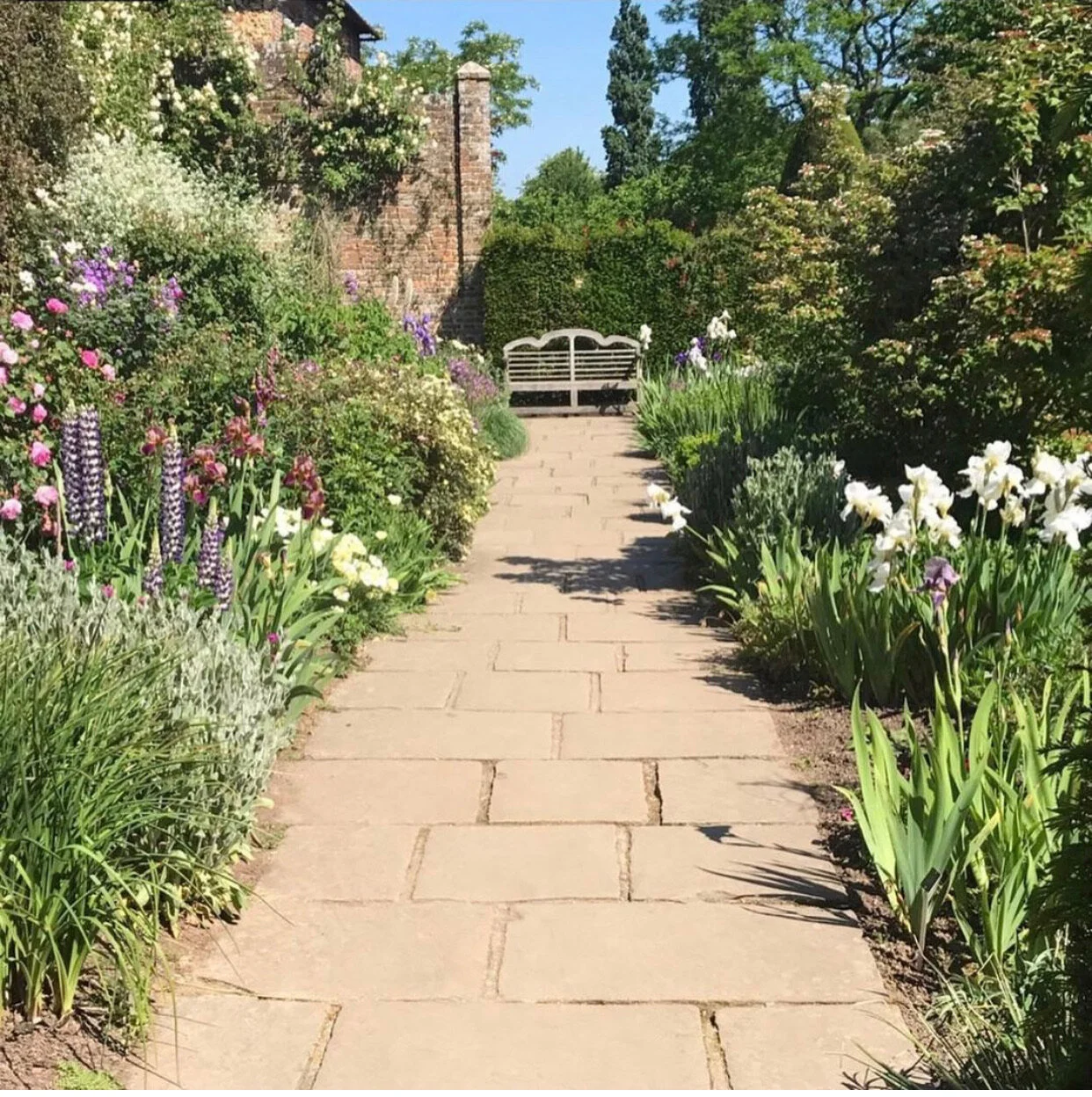 About the Garden * December 2020