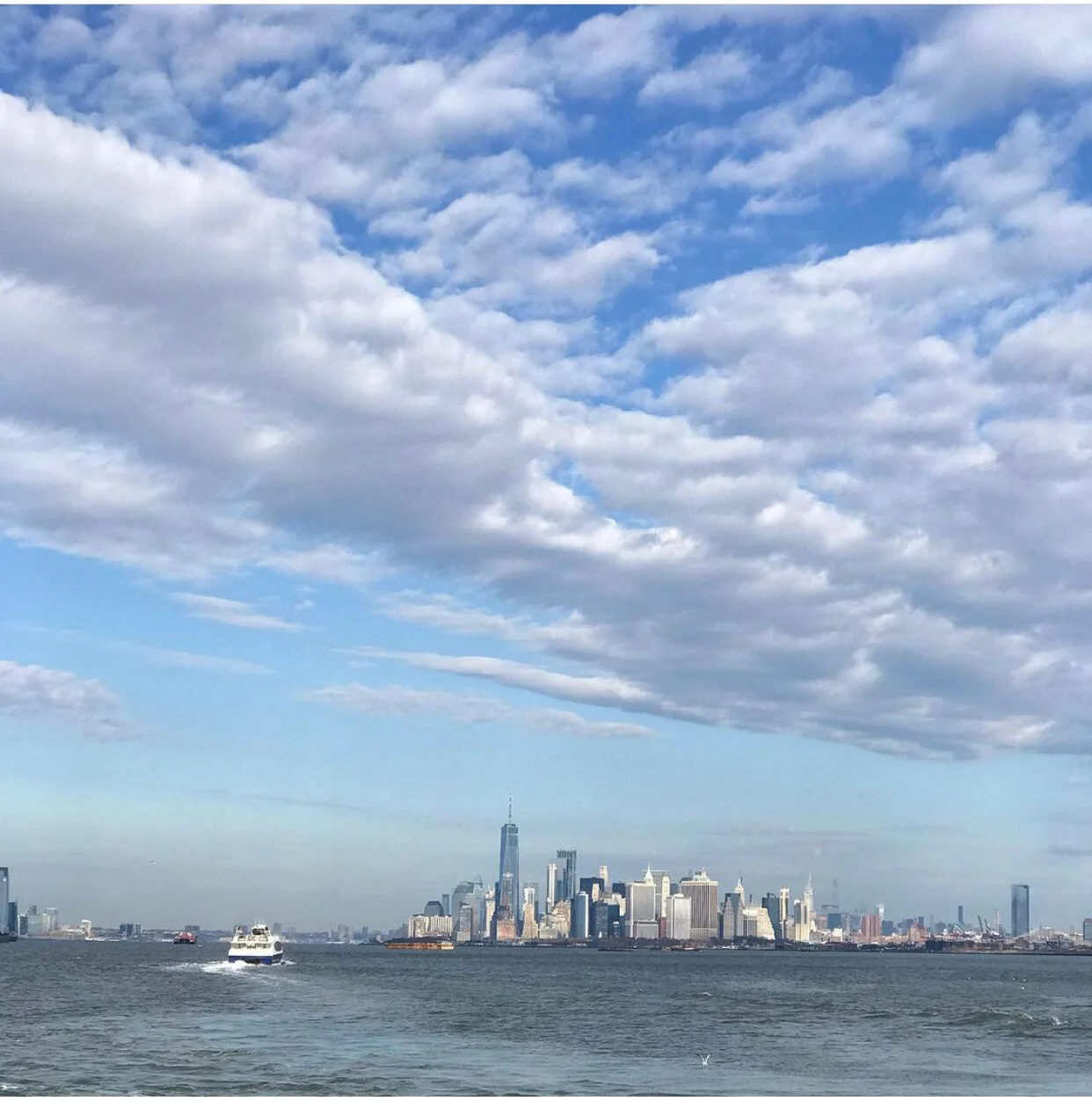 About the Garden * January 2021