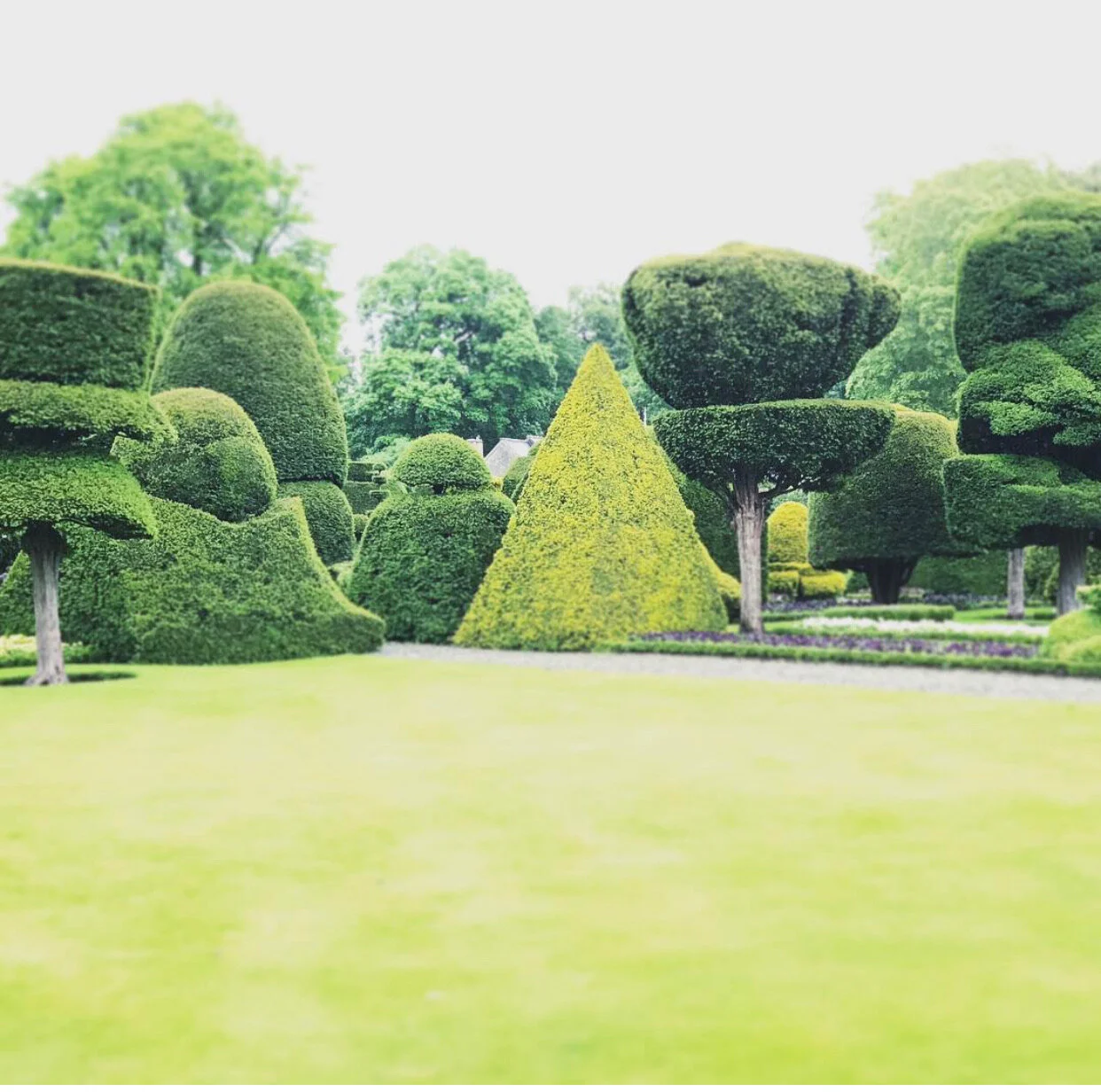 About the Garden * March 2021