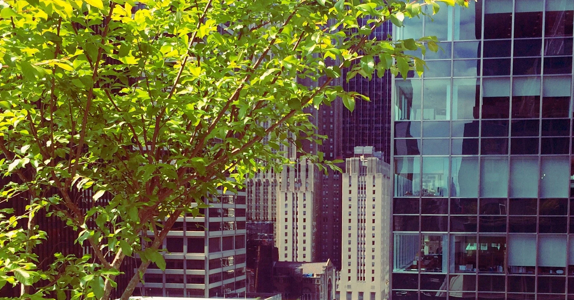 midtown portfolio page.jpeg