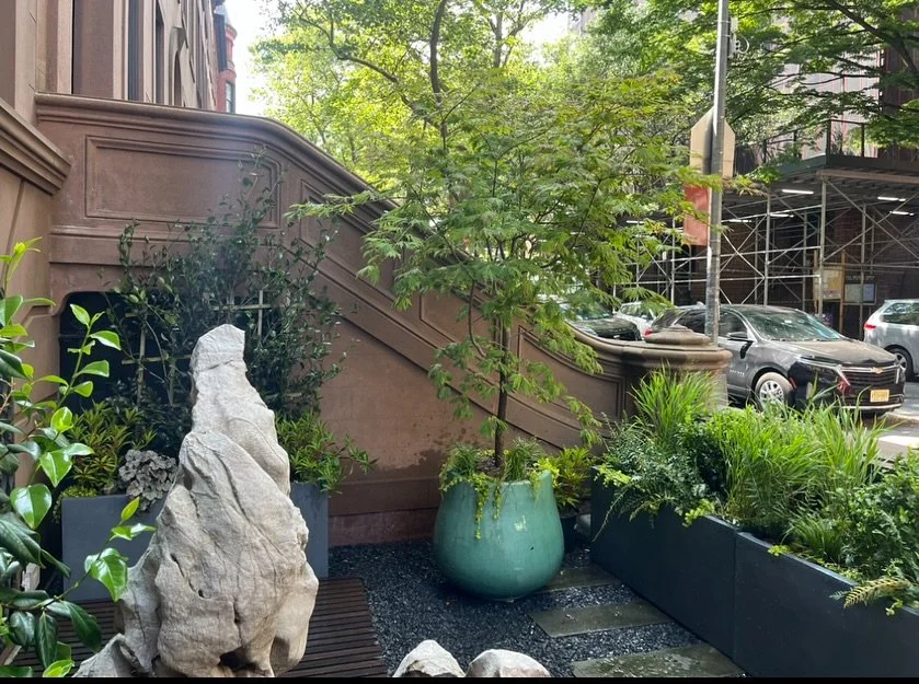 Pierrepont Street entryway planting #frontyard #frontyardgarden #brooklyn North facing and fairly shady, a mix of native and not, including camellia, carex, itea, hakonechkoa, heyuchera, and polystichum species. Thanks for collaborating @rubenzorro2 