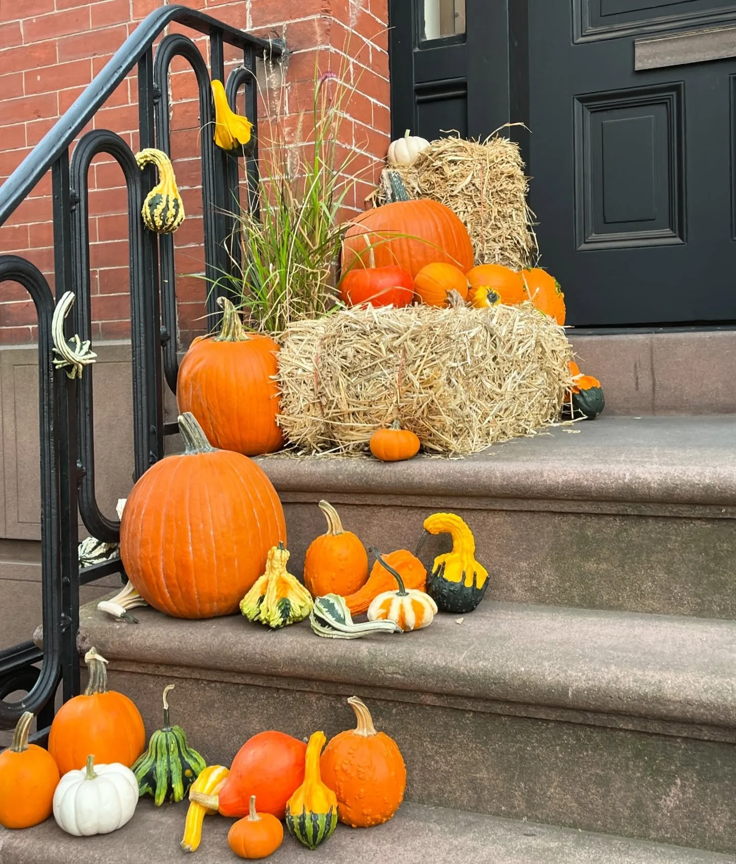 It&rsquo;s pumpkin o&rsquo;clock, New York 🎃