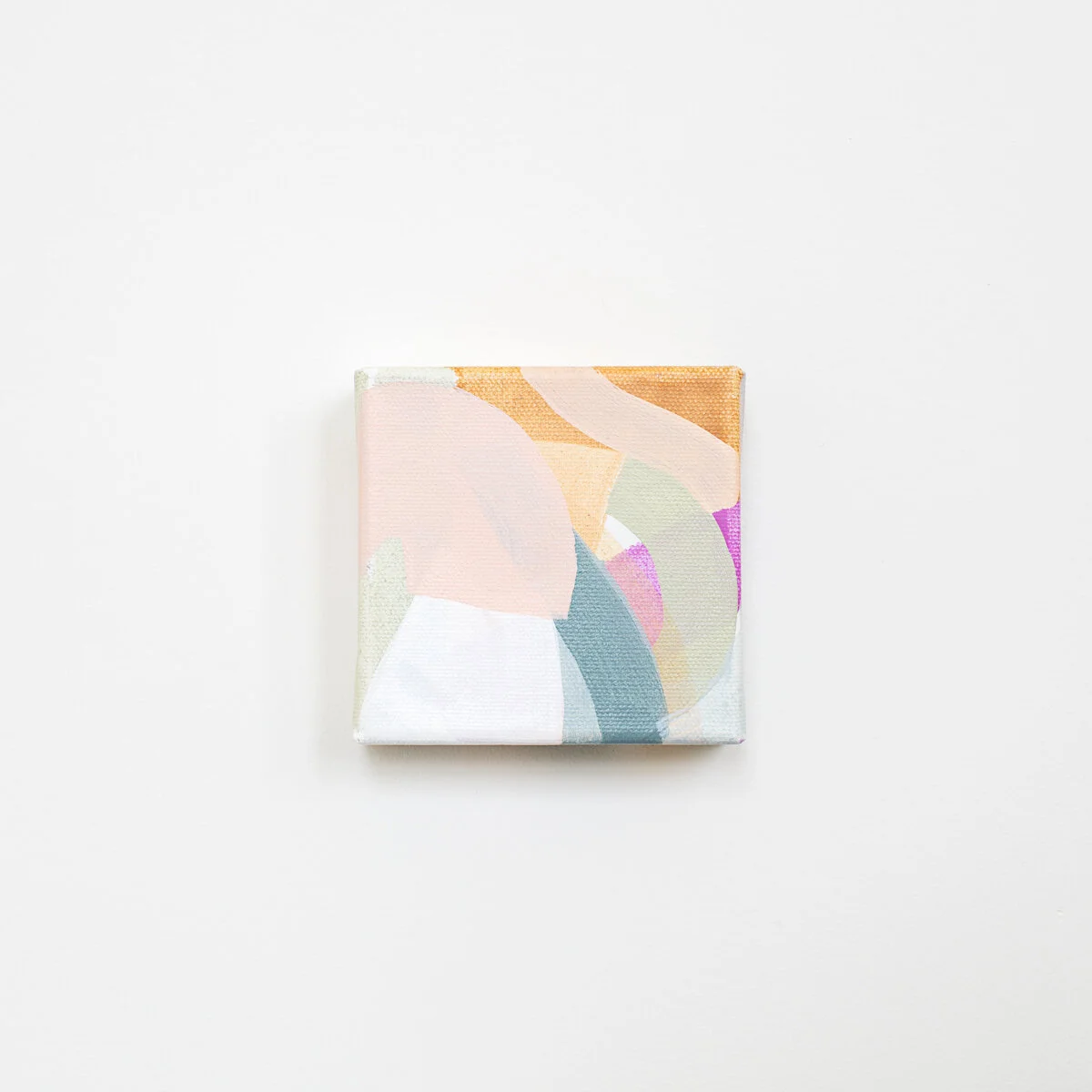 SummerCollection_whitespace-8.jpg