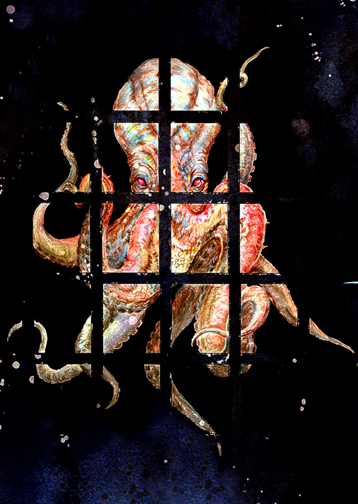 octopus2.jpg