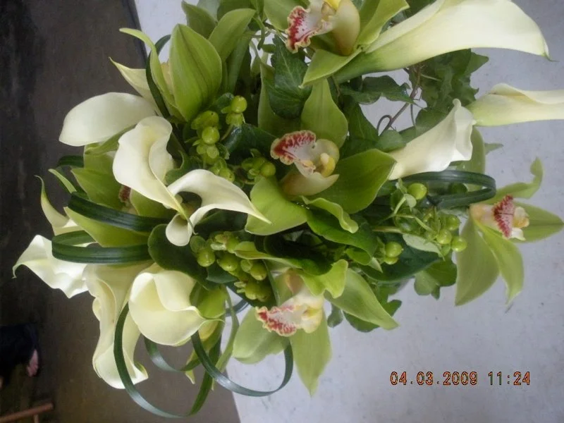 DSCN0522.jpg