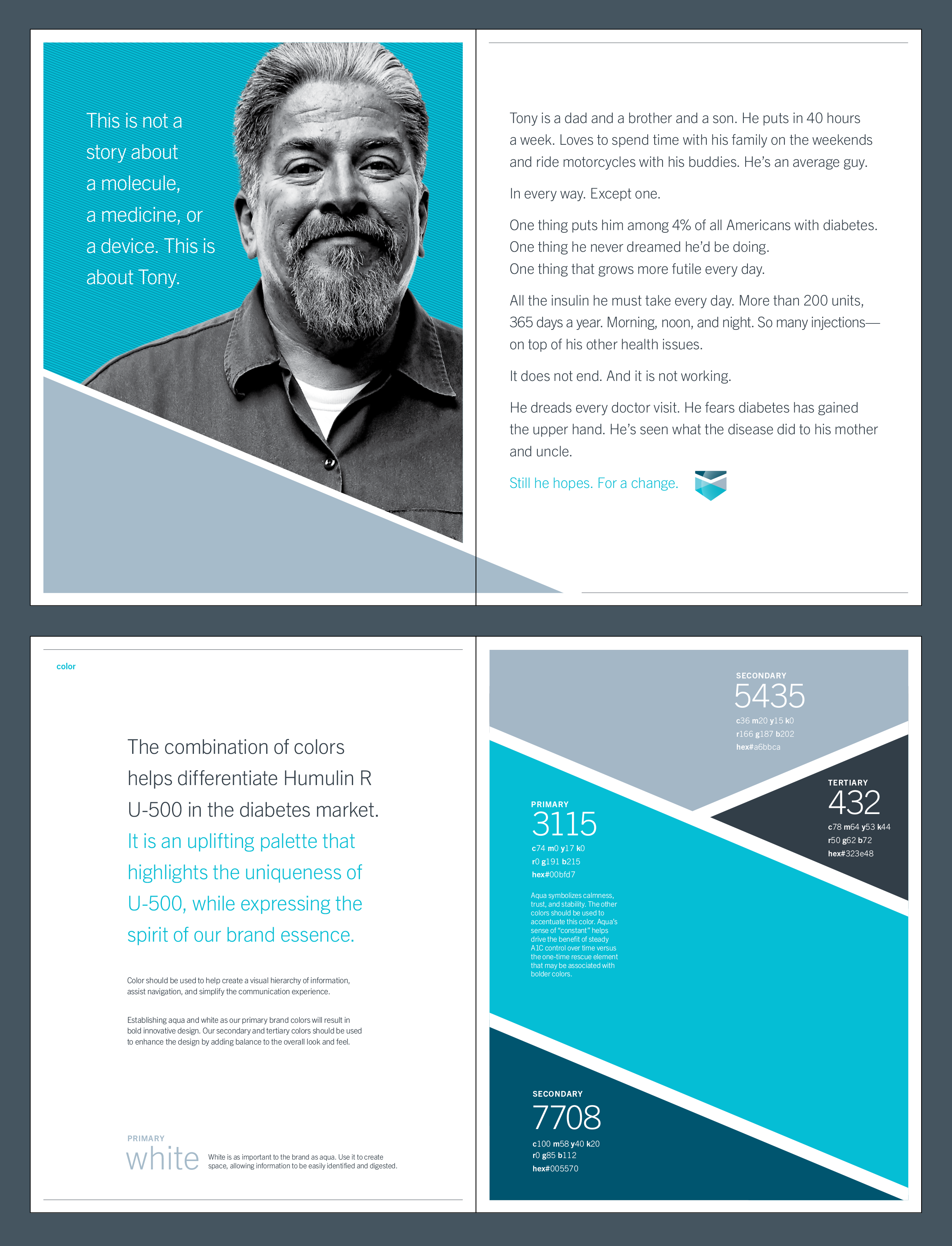 HumulinR_U500_portfolio_sample1.png