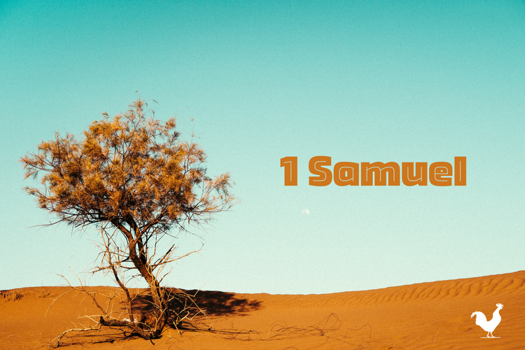 1 Samuel 9:1-2;15-17; 1 Samuel 10
