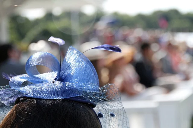 I like to think mine is a fascinator. Image courtesy of Monica Volpin, 2017.