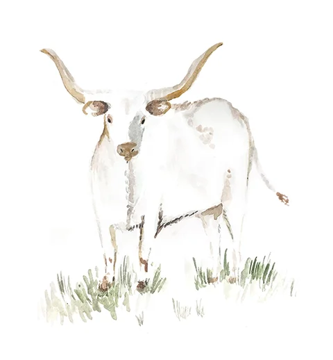 PursellLonghorn_Small.jpg