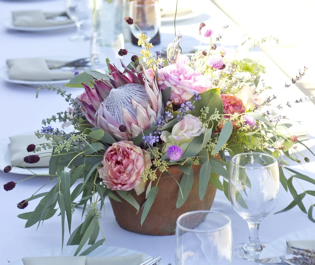 PerkinsScott_WED_0131.jpg