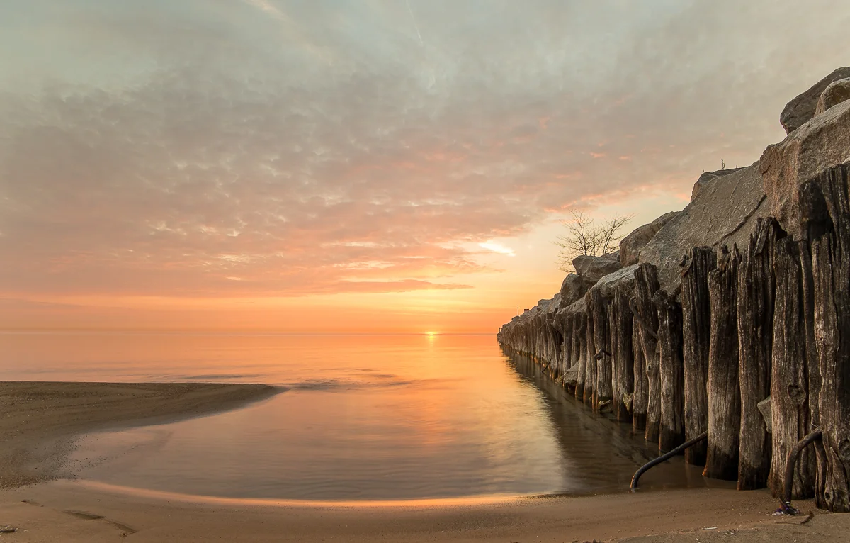 portfolio-4.jpg