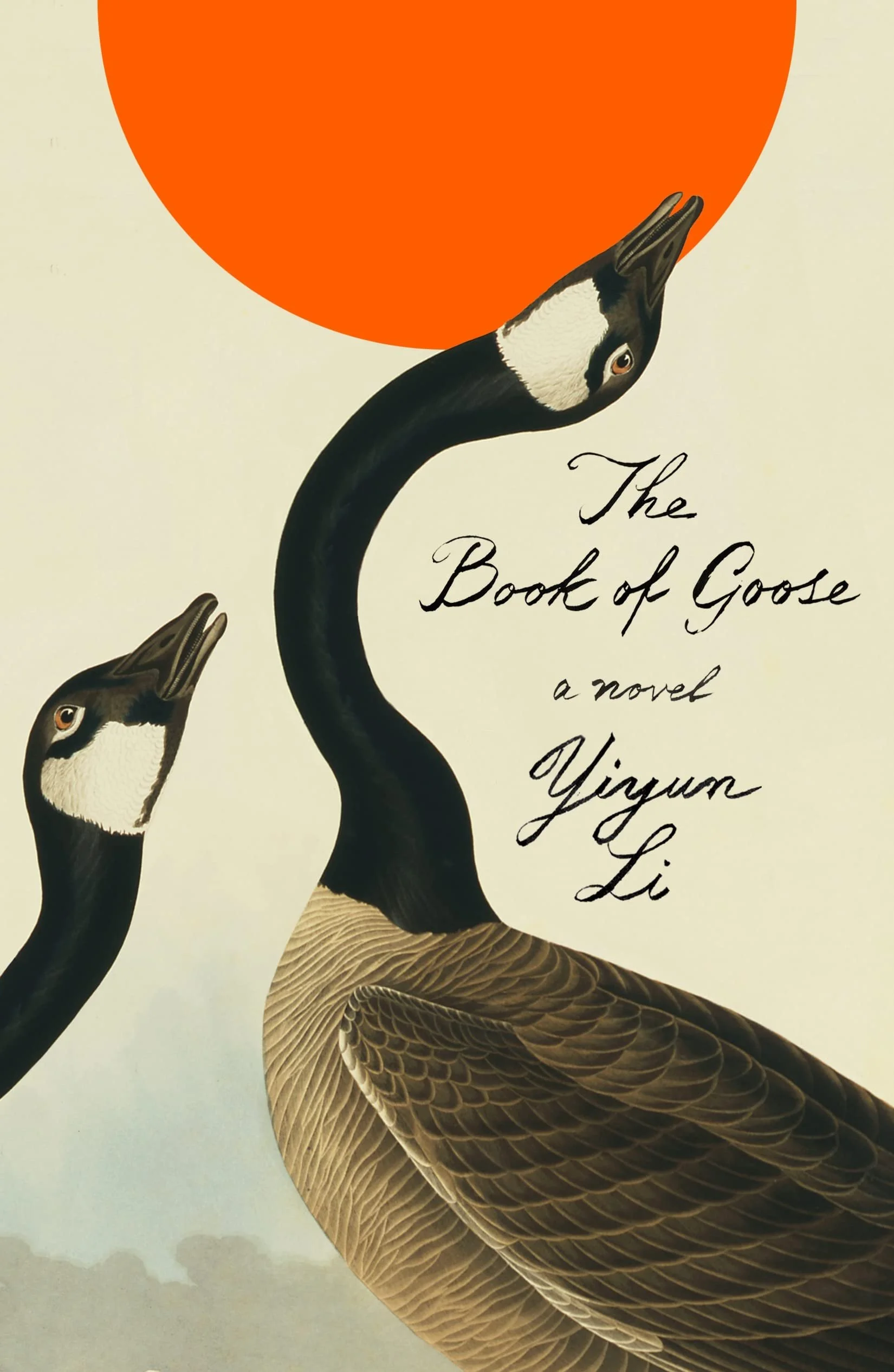 goose.jpg