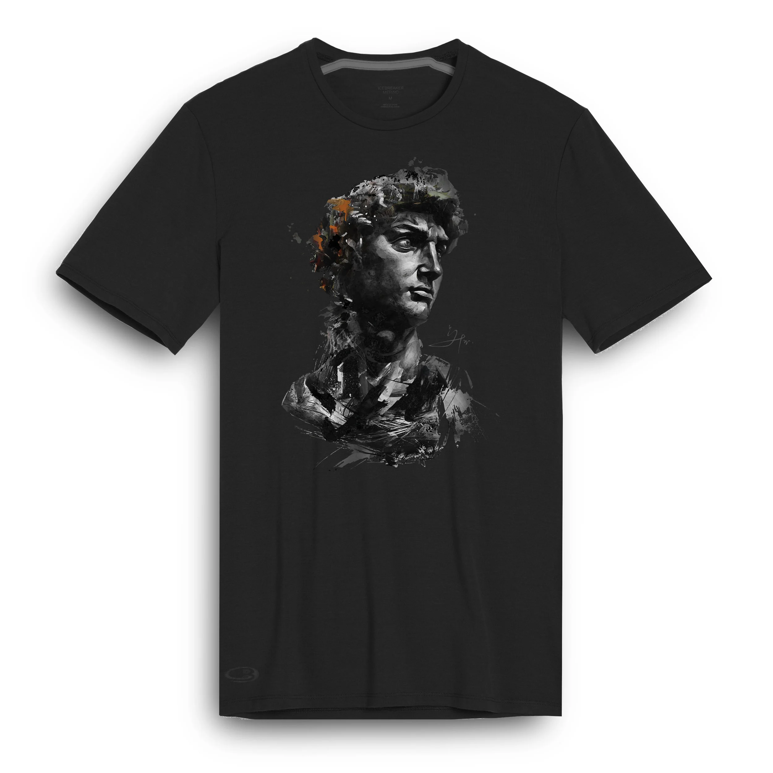 Icebreaker® Merino, Michelangelo's