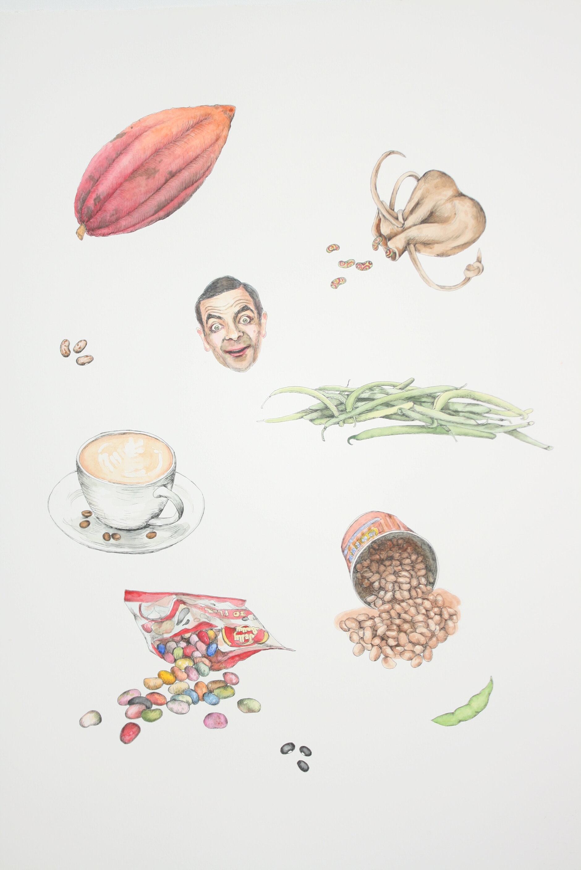 Daniela Koontz,&nbsp; Beans , 2017, watercolor and ink on Arches paper, 30 x 22 inches, Loan Courtesy of the Artist 