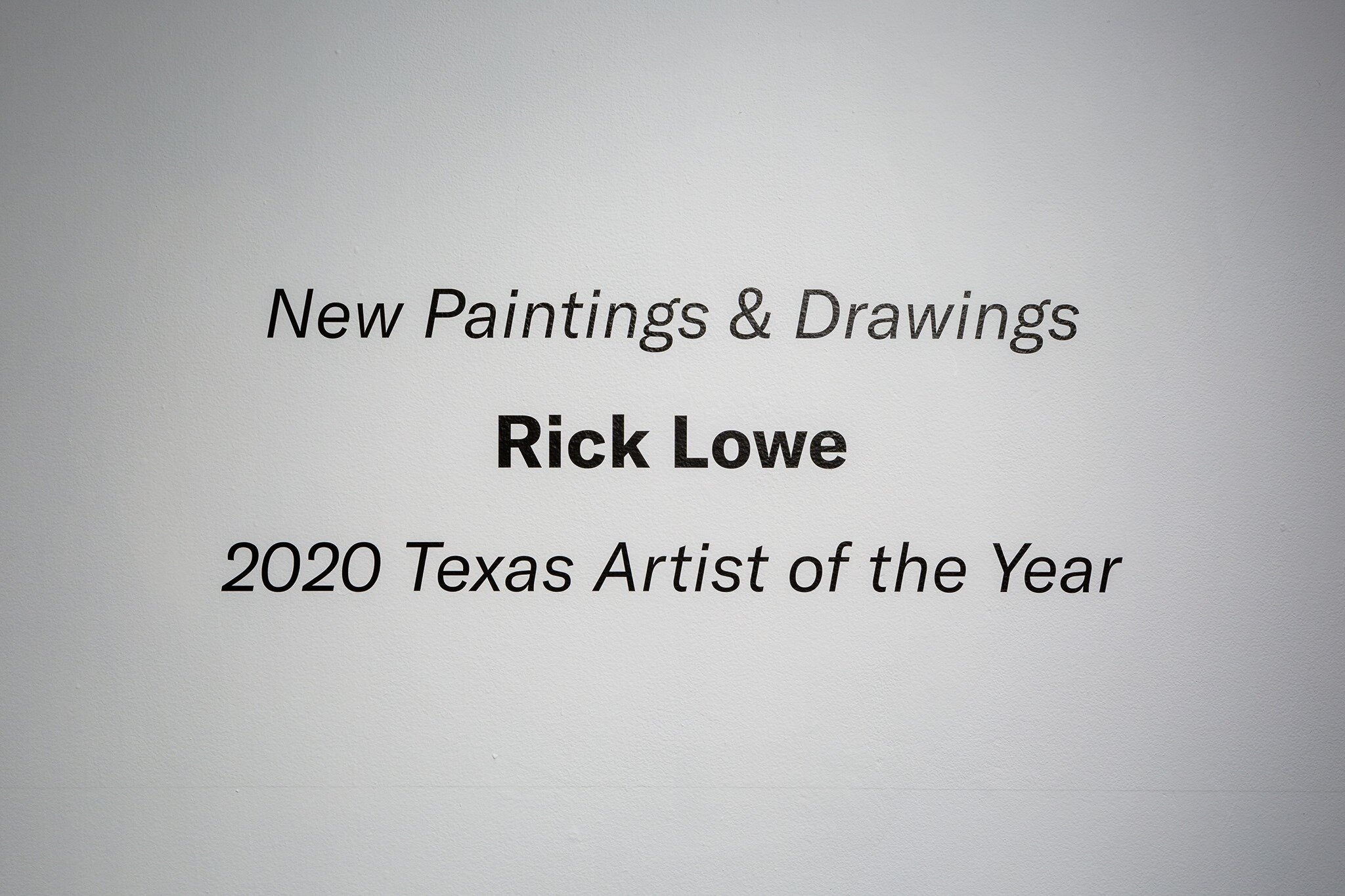  Exhibition at Art League Houston, 2020 Texas Artist of the Year  Photo Credit: Alex Barber 