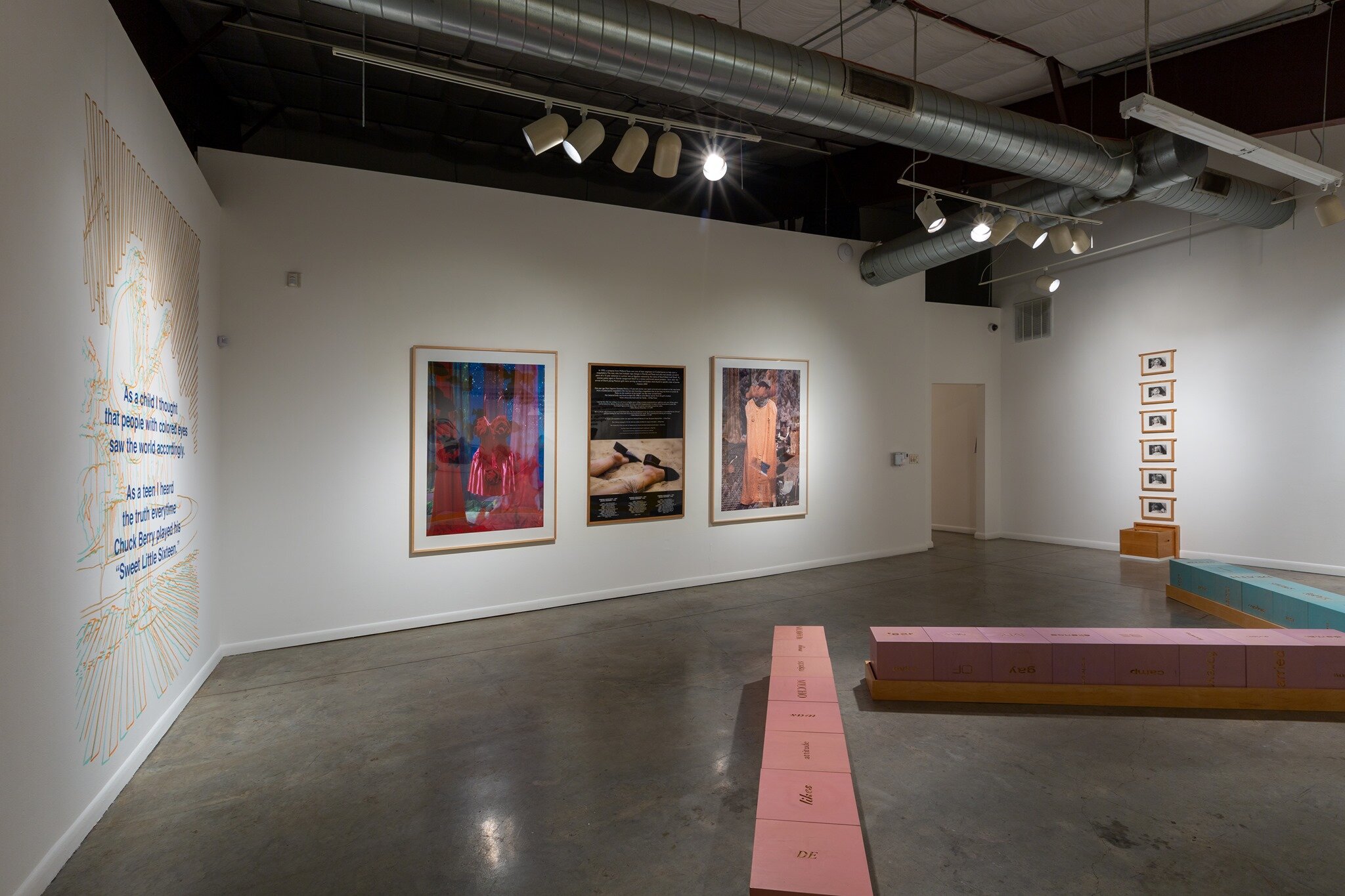  Exhibition at Art League Houston, 2020 Lifetime Achievement Award in the Visual Arts  Photo Credit: Alex Barber 