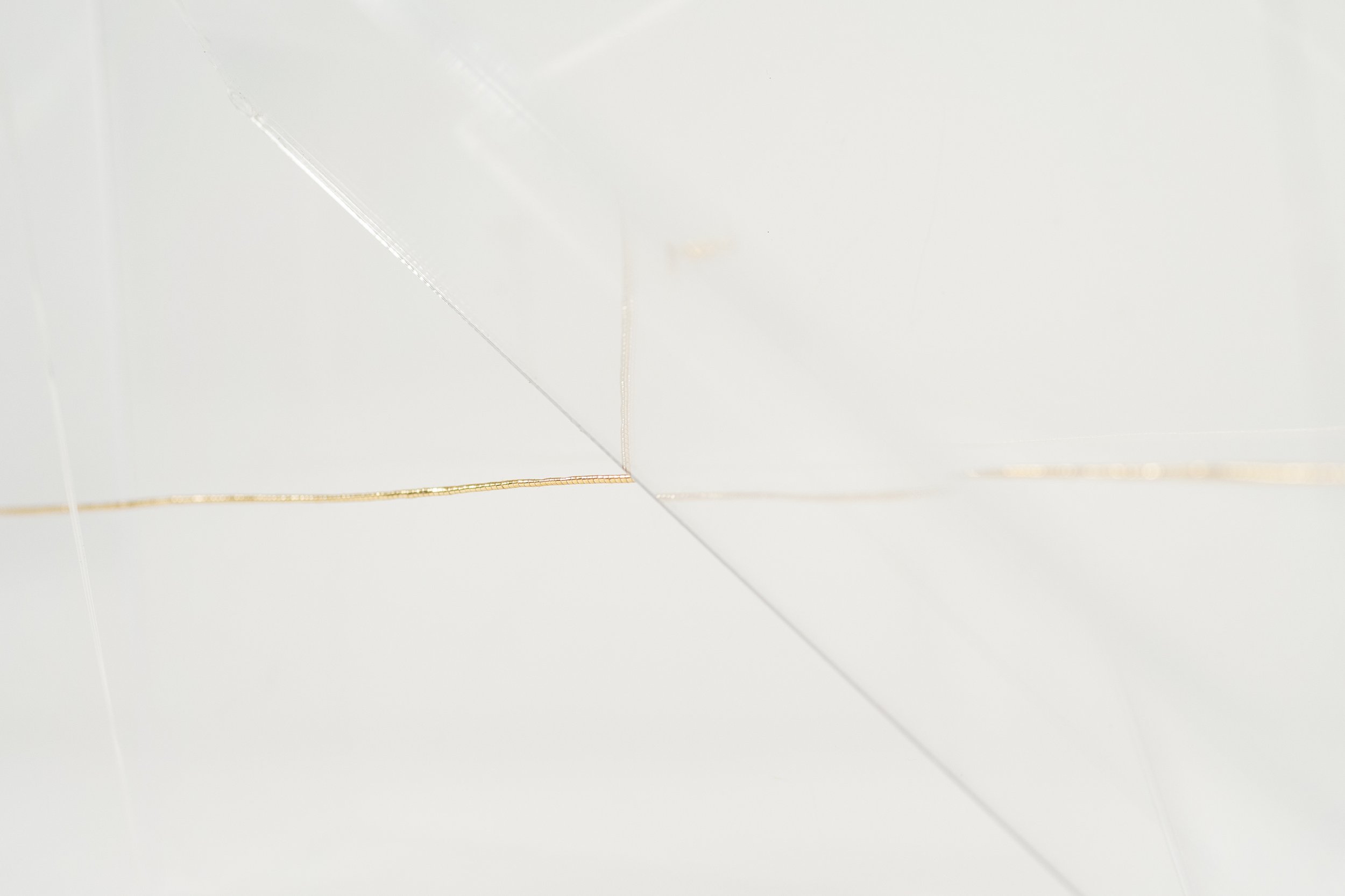 _DSC7071.jpeg