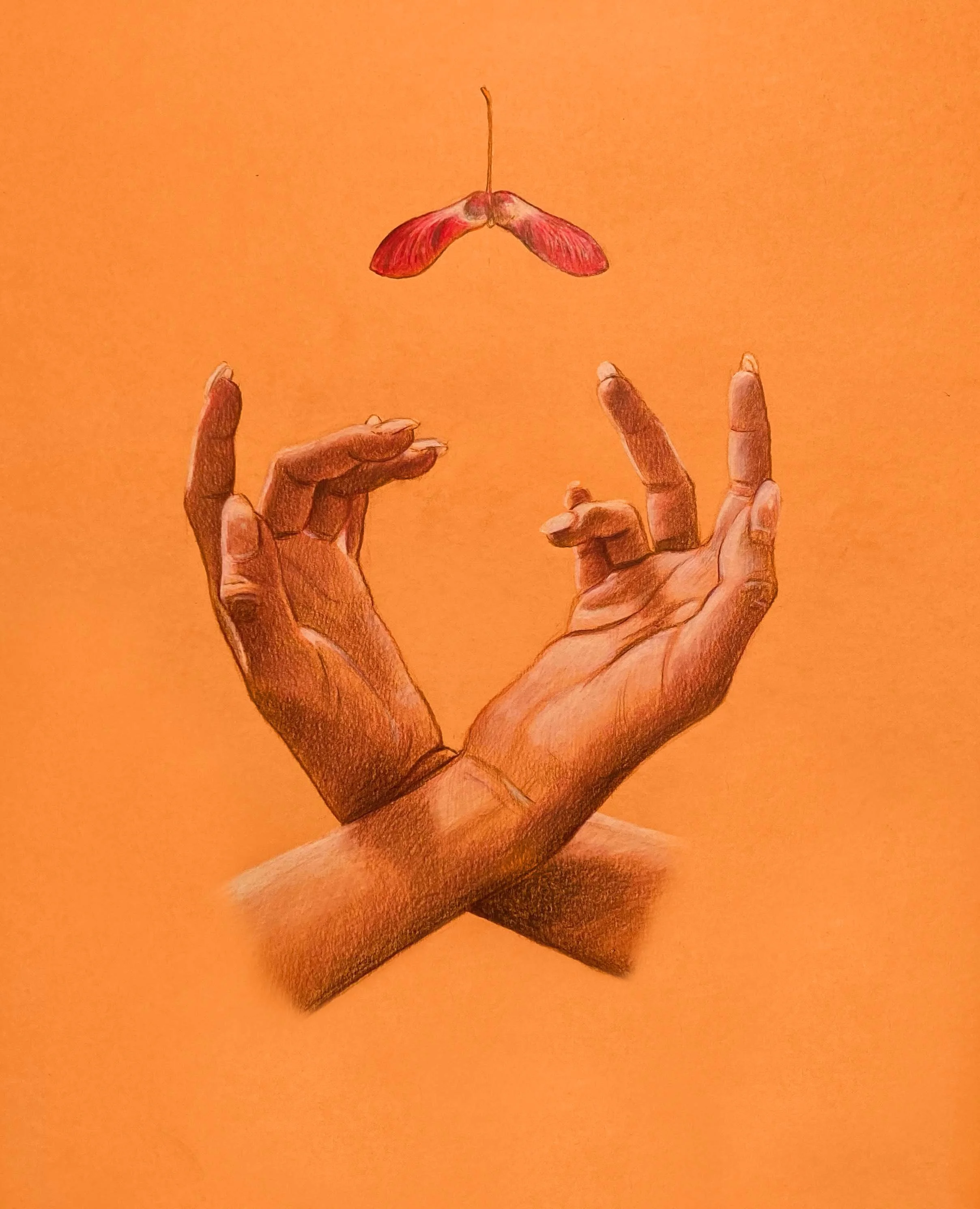 hands_maple_lowres_Broz.jpg