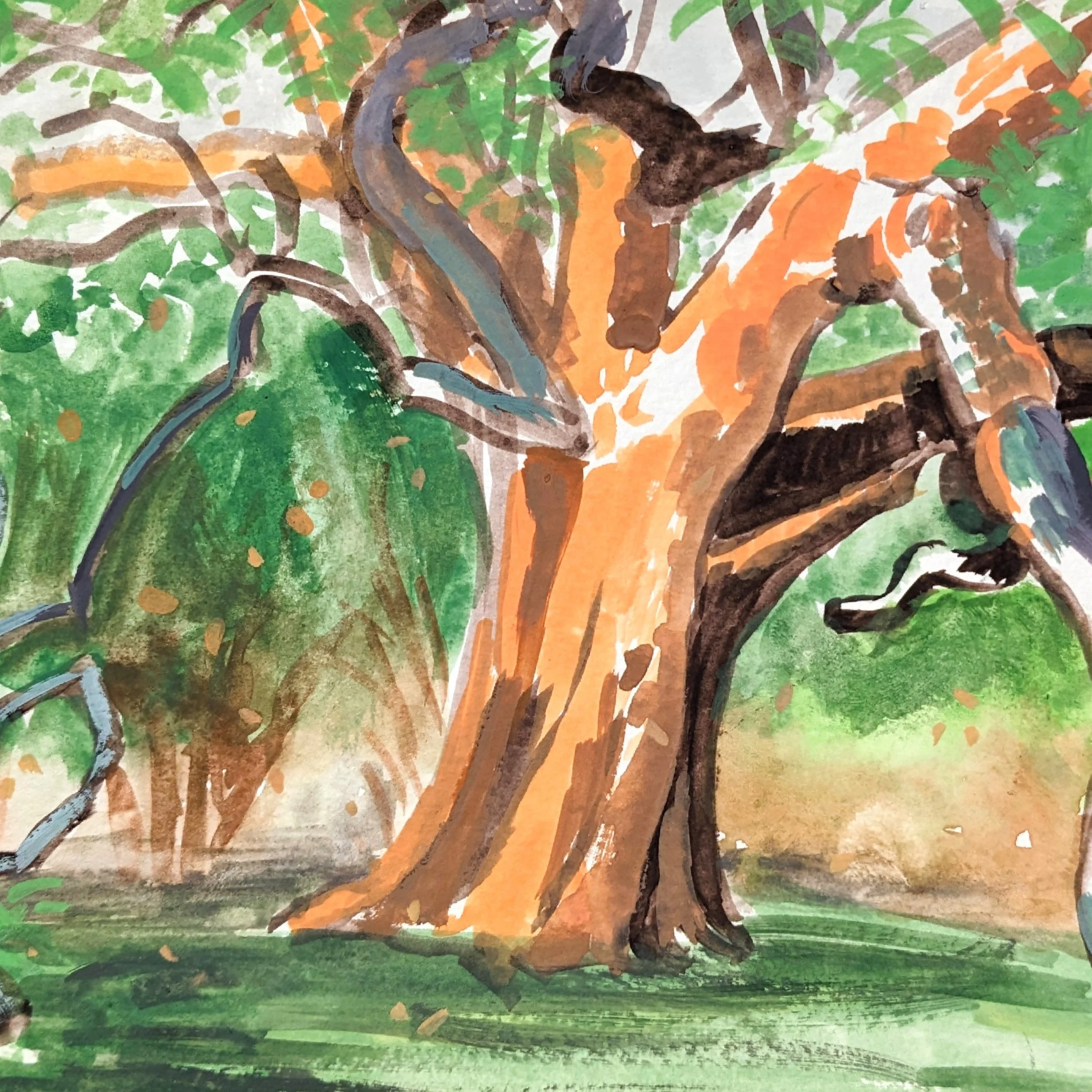 Plein-Air: Gouache Landscape (P-12) | IN-PERSON WORKSHOP