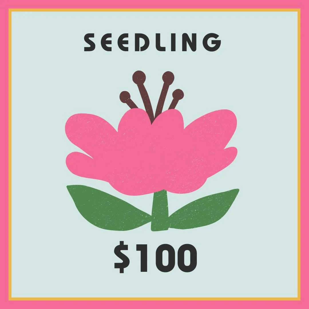 Seedling