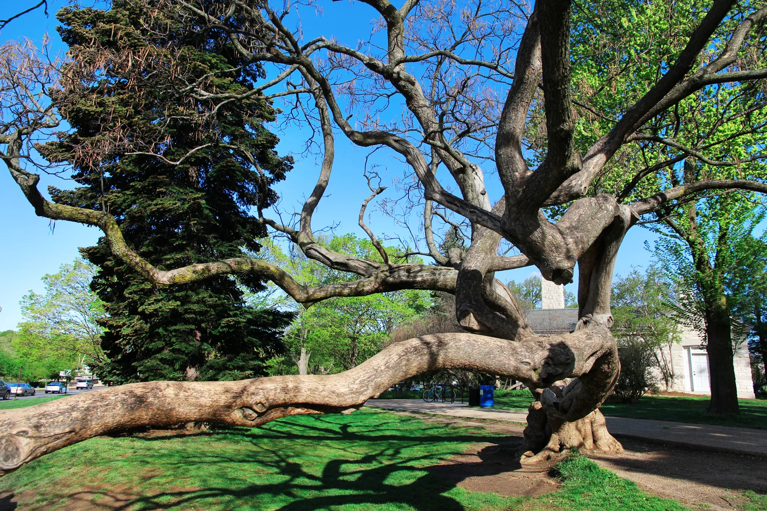 Beauty5_Web Ready.jpg