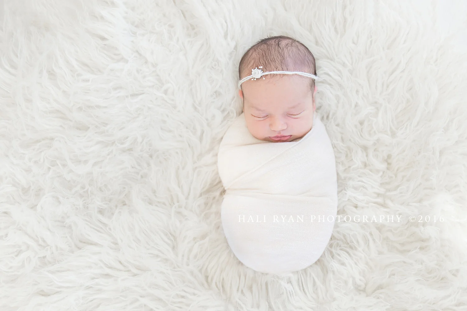 HaliRyanPhotography_AHendrickson2016_2.jpg