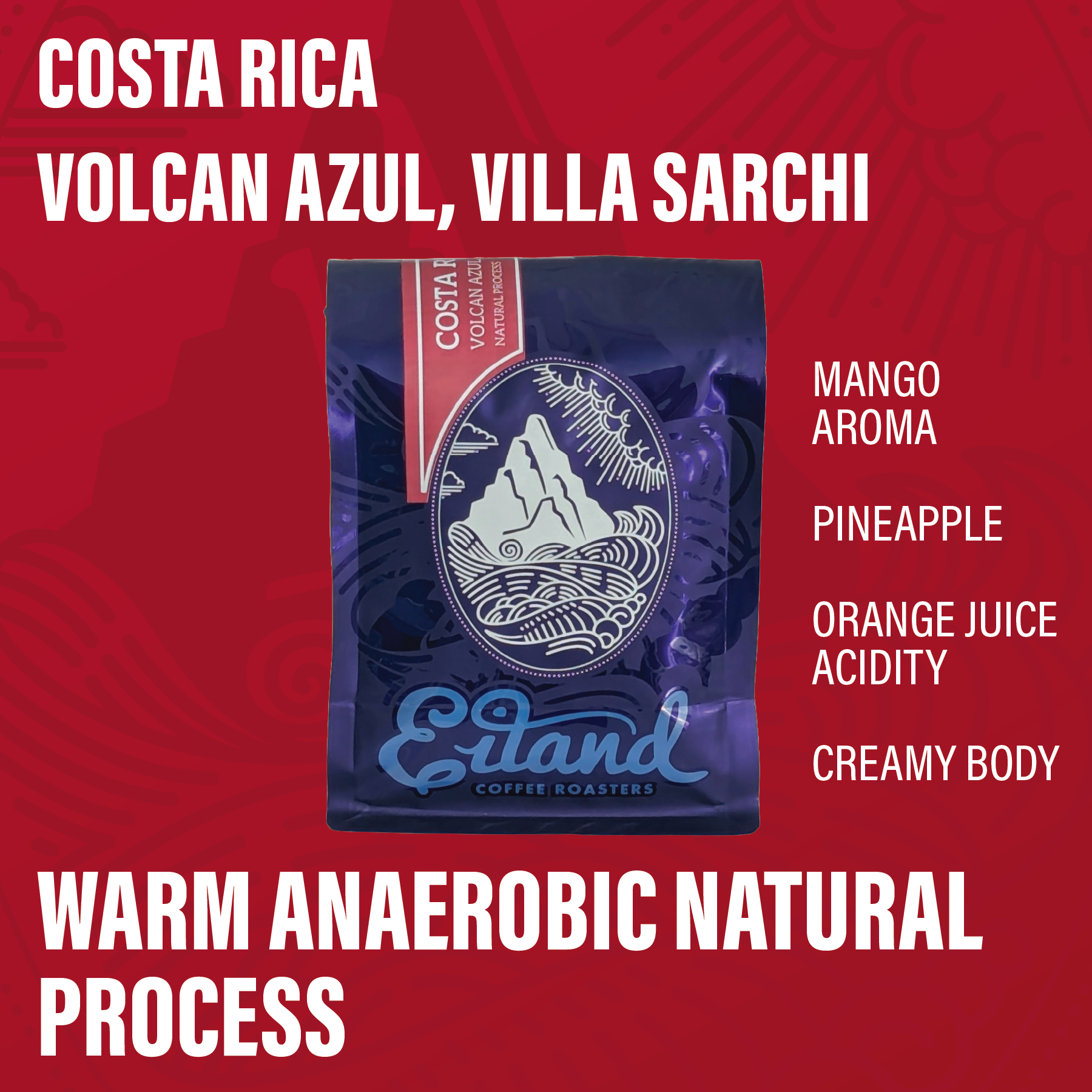 Costa Rica Volcan Azul Villa Sarchi