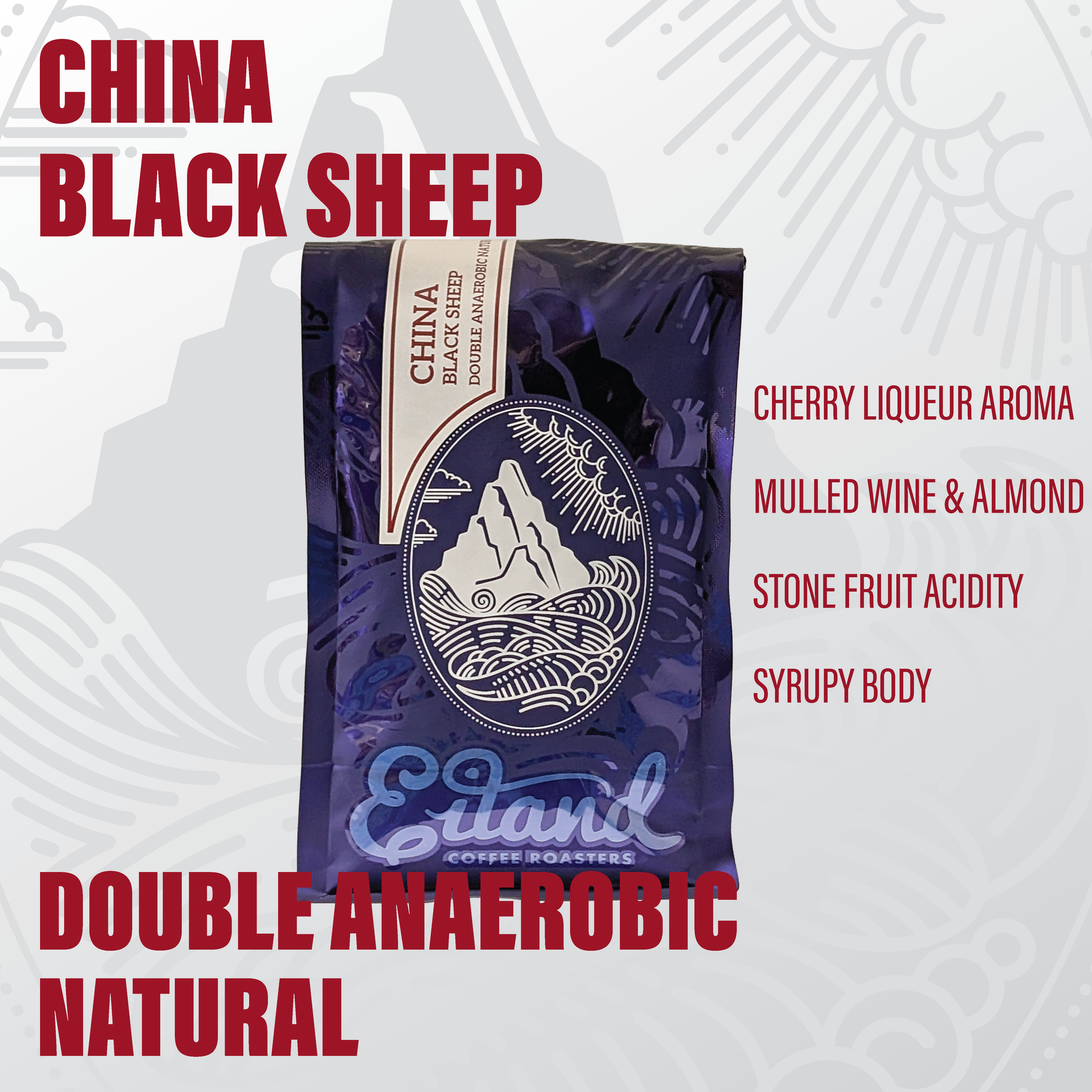 China Black Sheep