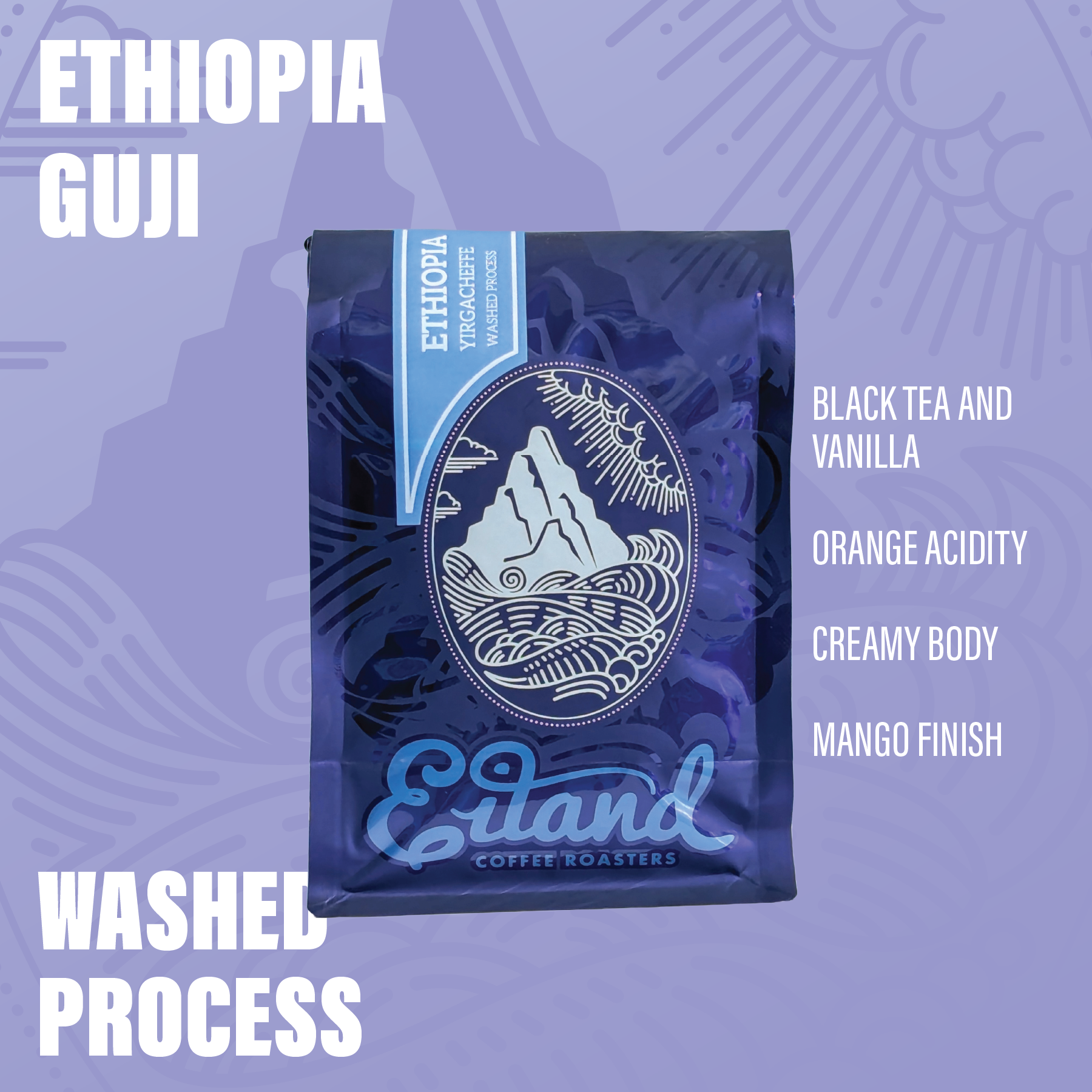 Ethiopia Guji Washed