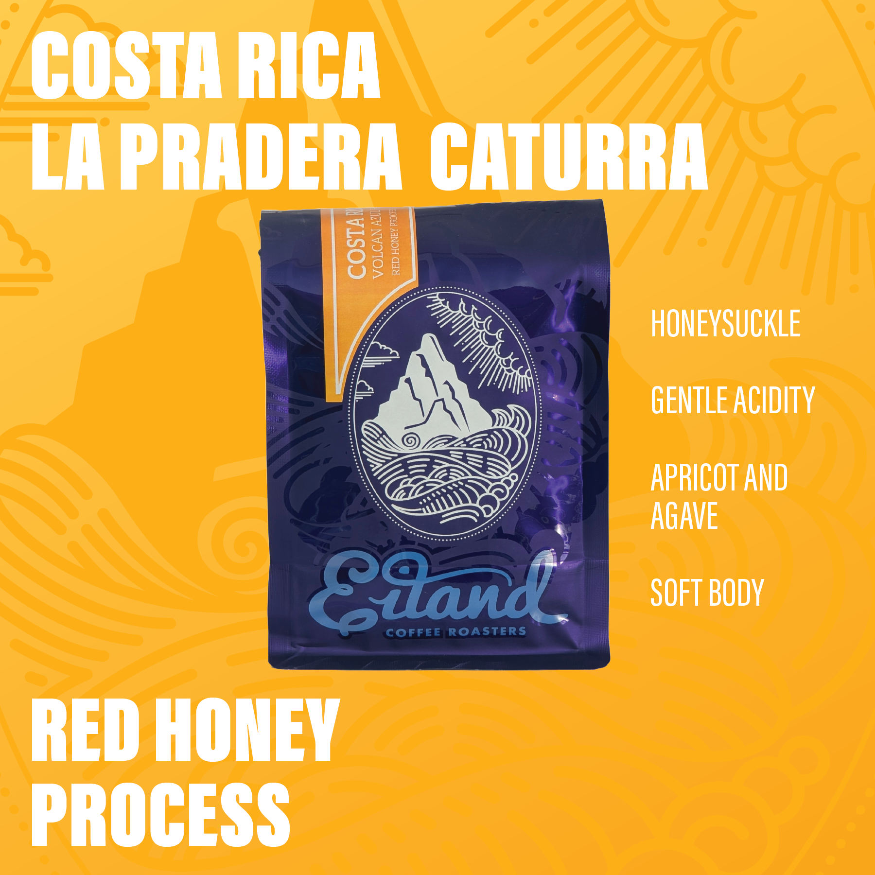 Costa Rica La Pradera Red Honey