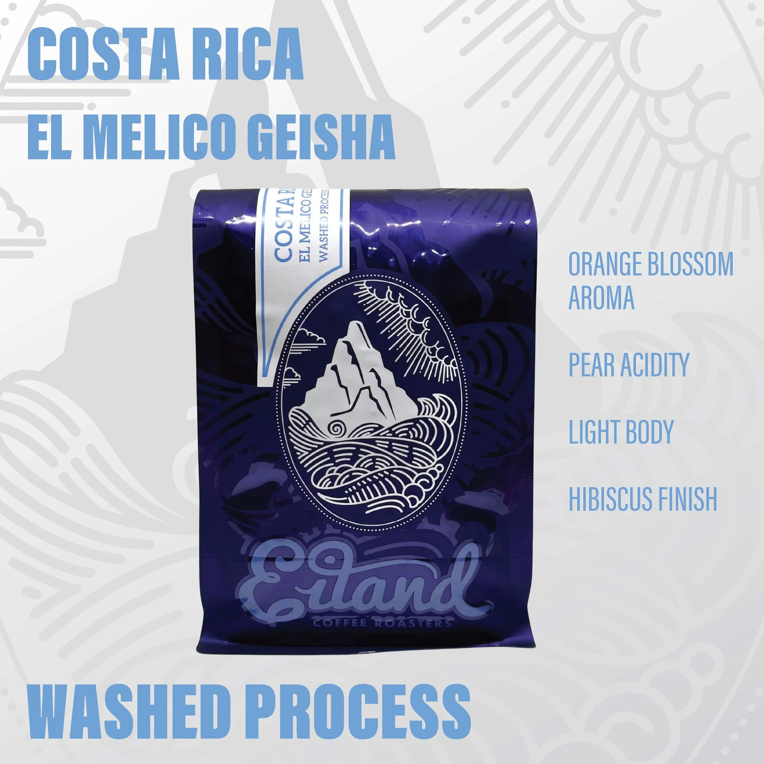 Costa Rica El Melico Geisha