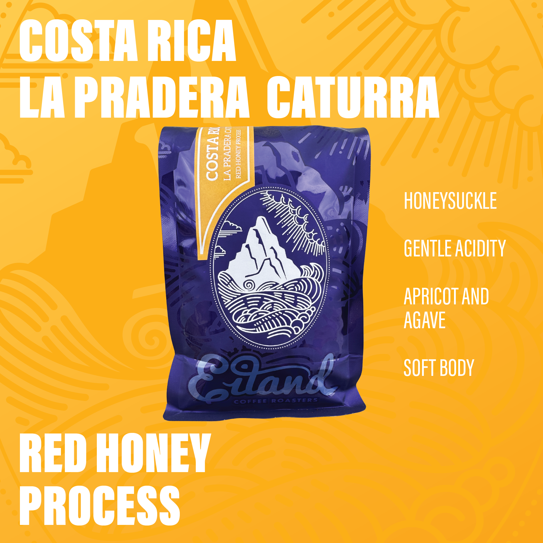 Costa Rica La Pradera Red Honey
