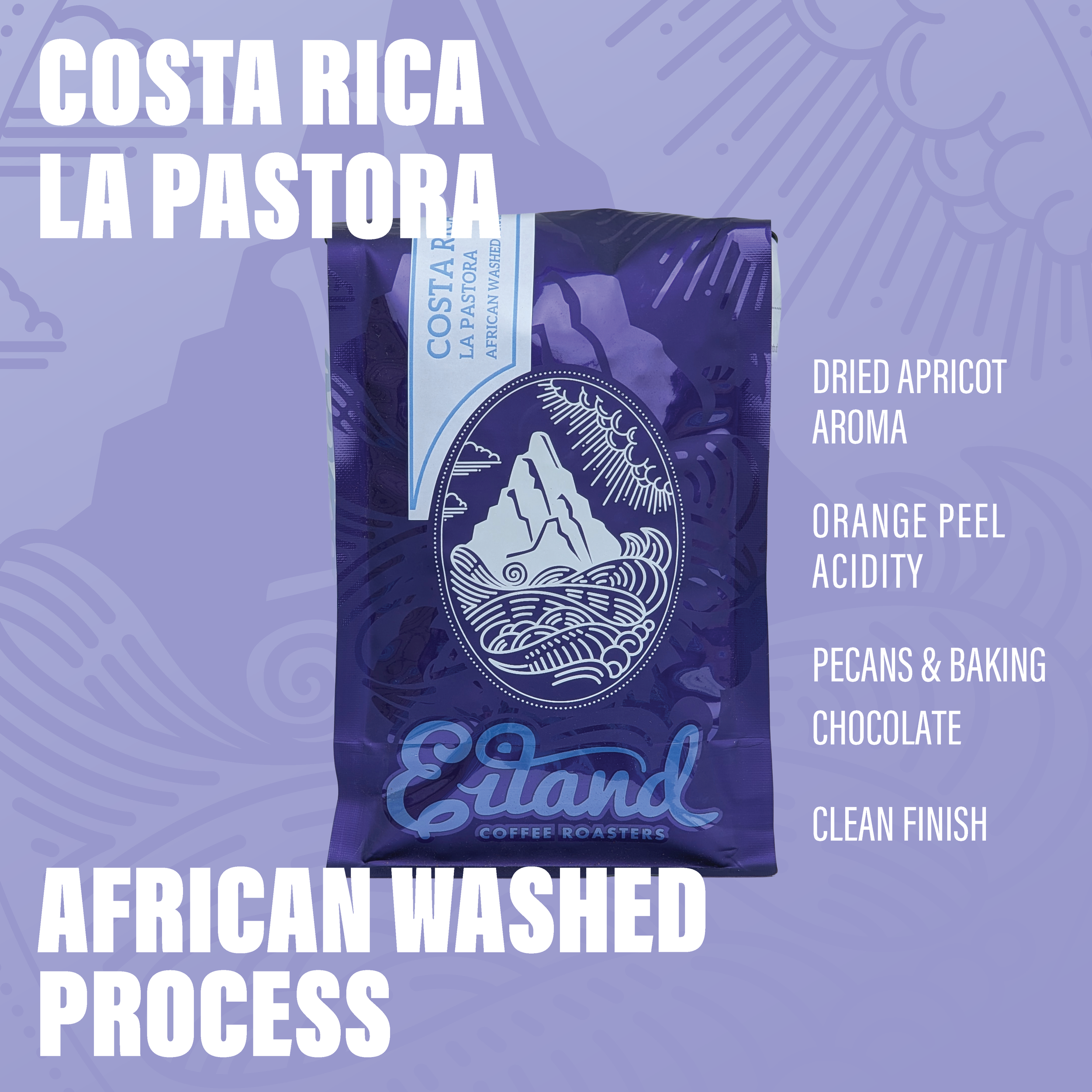 Costa Rica La Pastora African Washed