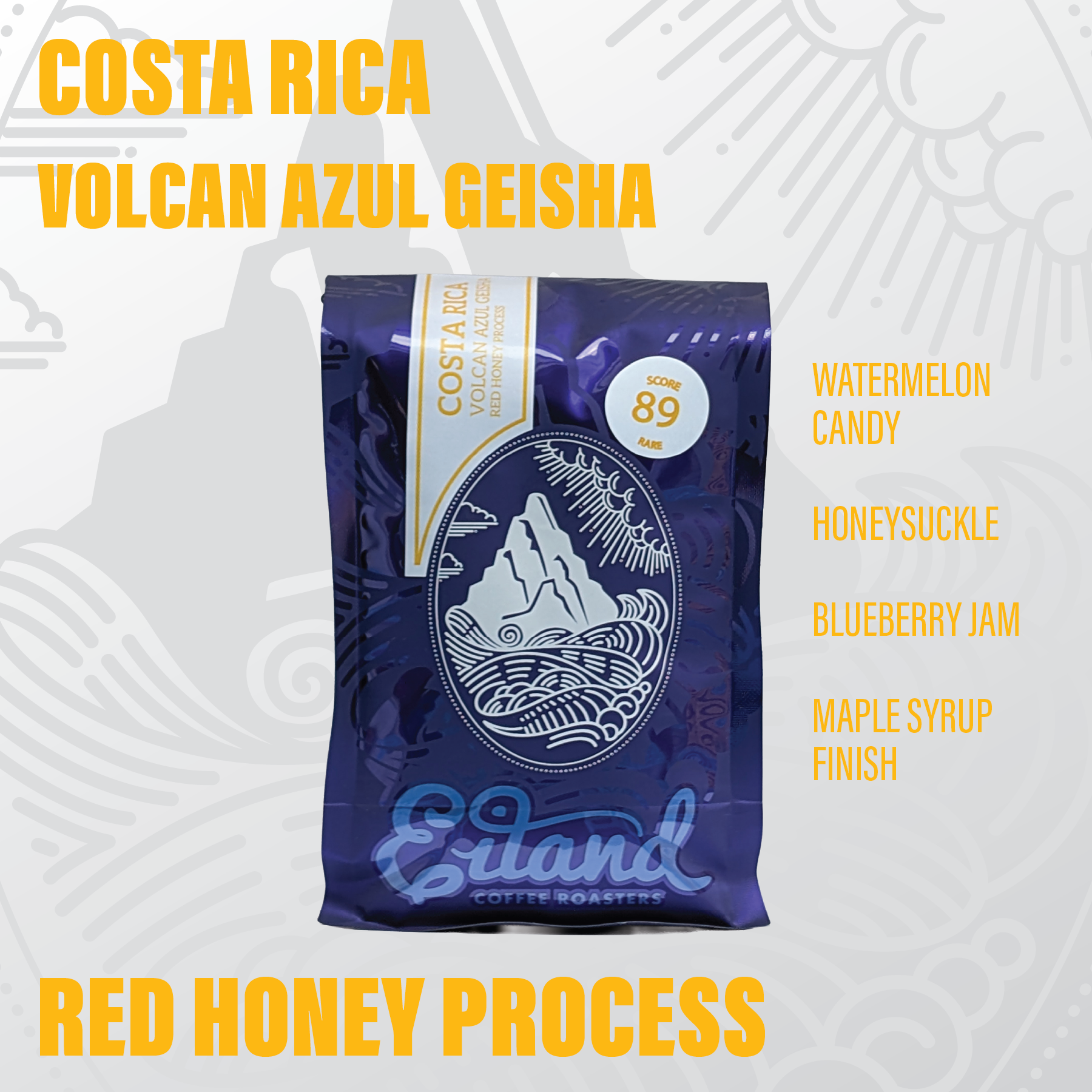 Costa Rica Volcan Azul Geisha Red Honey