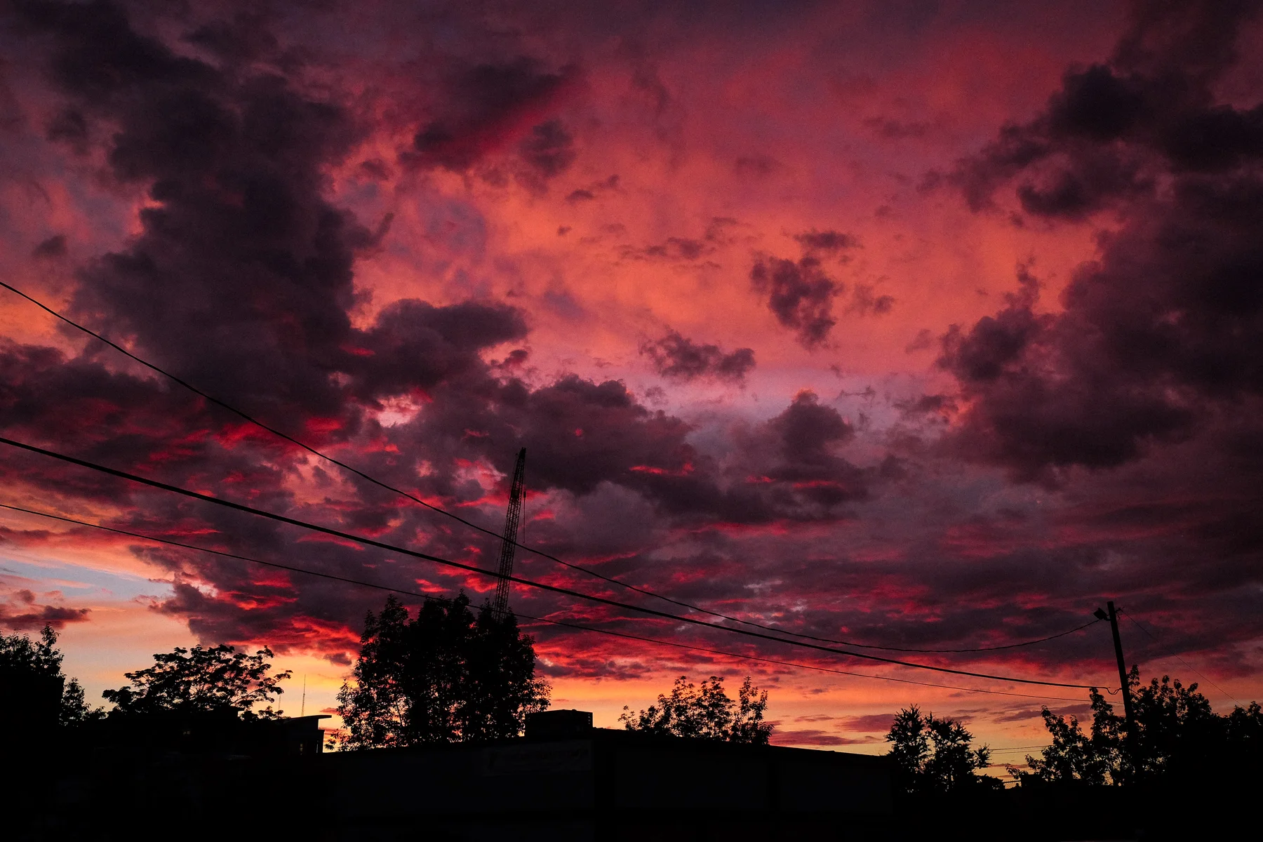 f_seattle_088.jpg