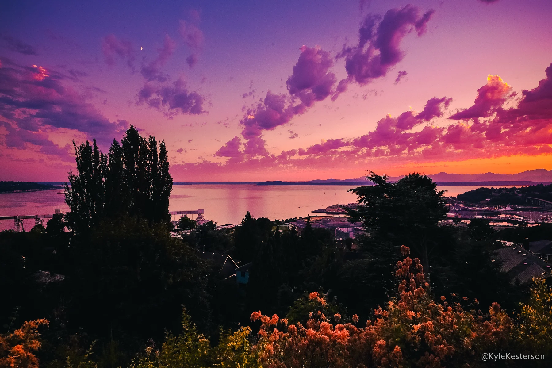 f_seattle_095.jpg