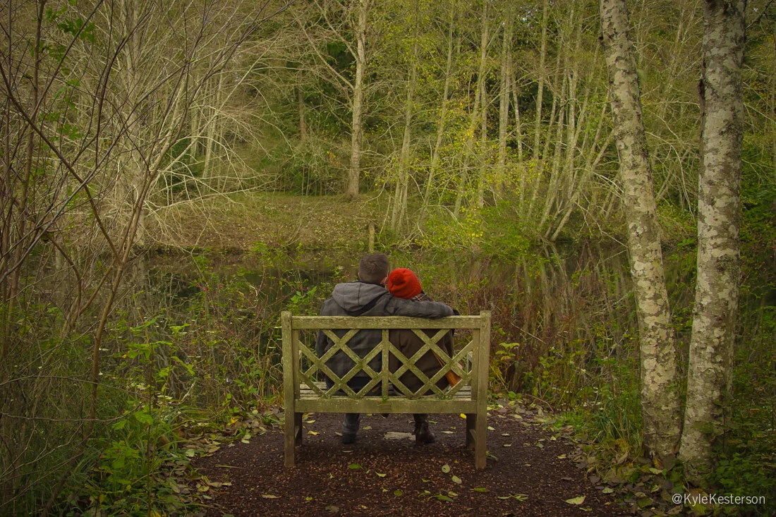 bainbridge_009.jpg