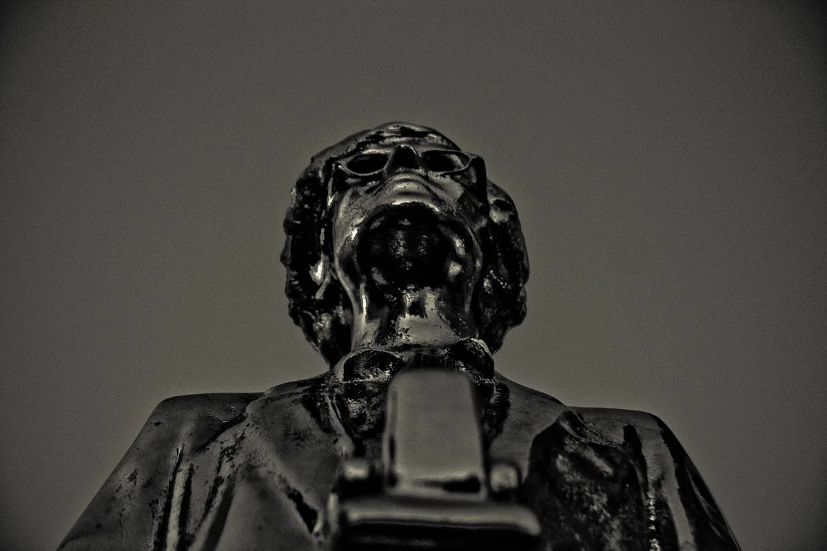 d507.jpg