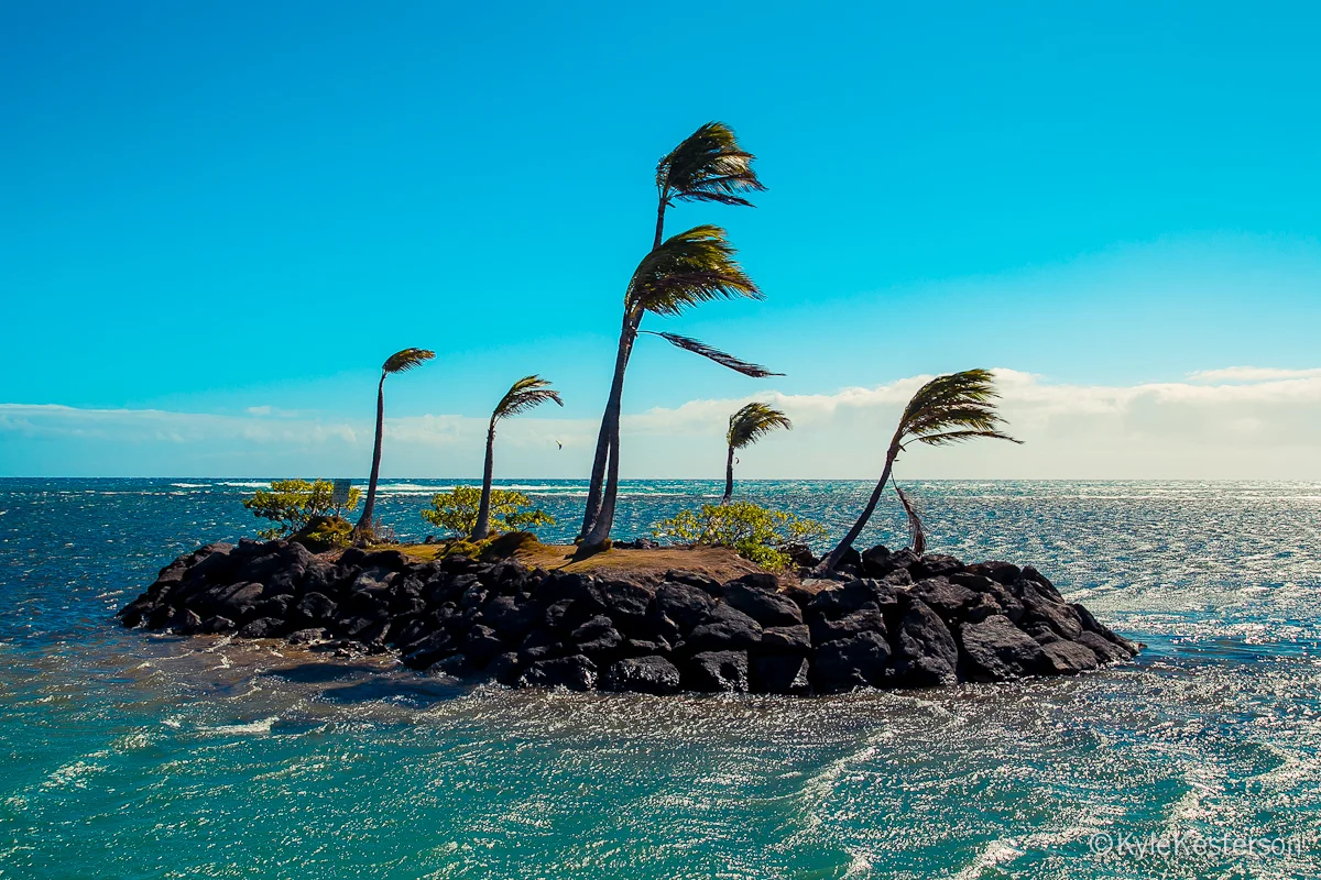 hawaii_064.jpg