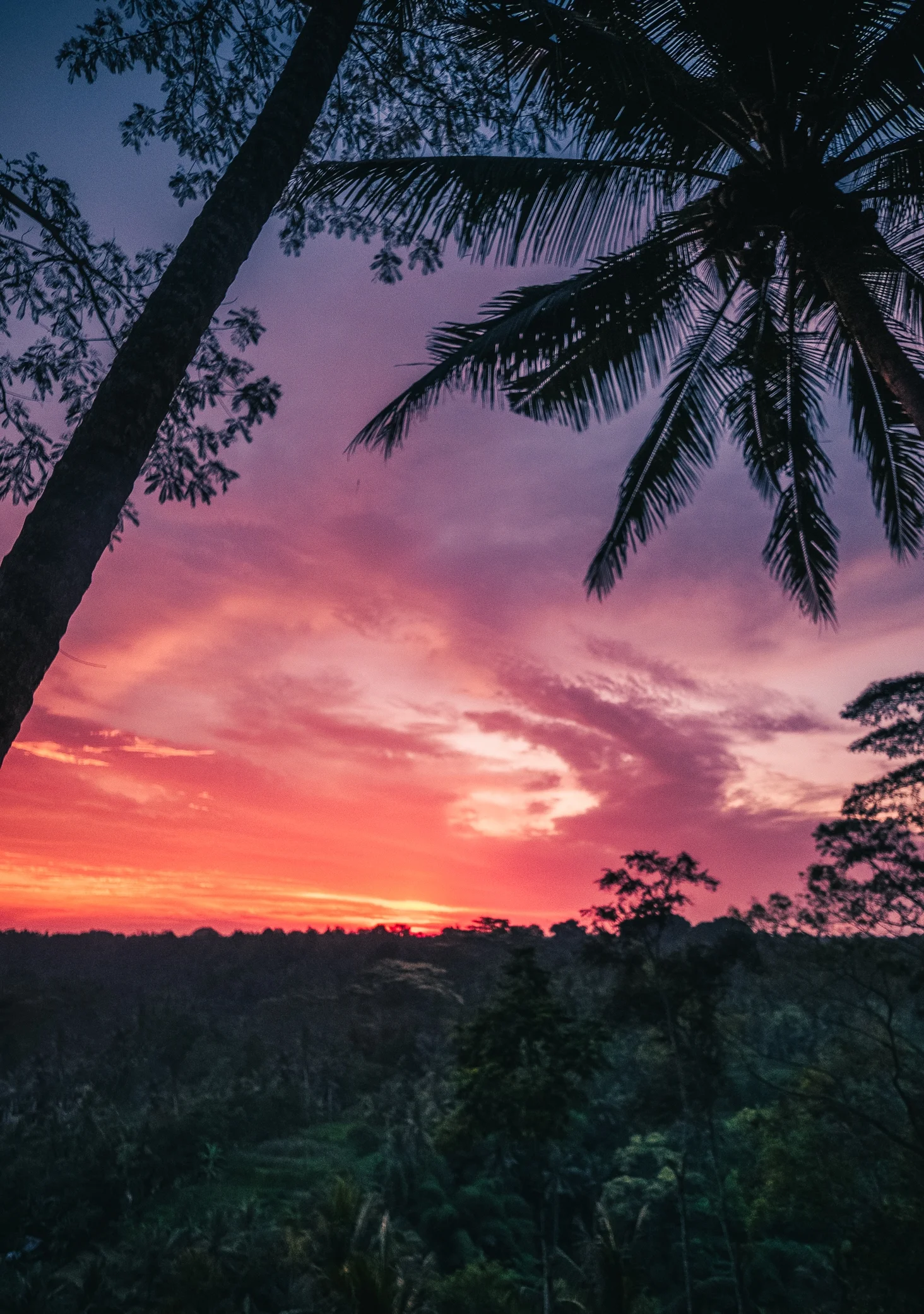 bali-12.jpg
