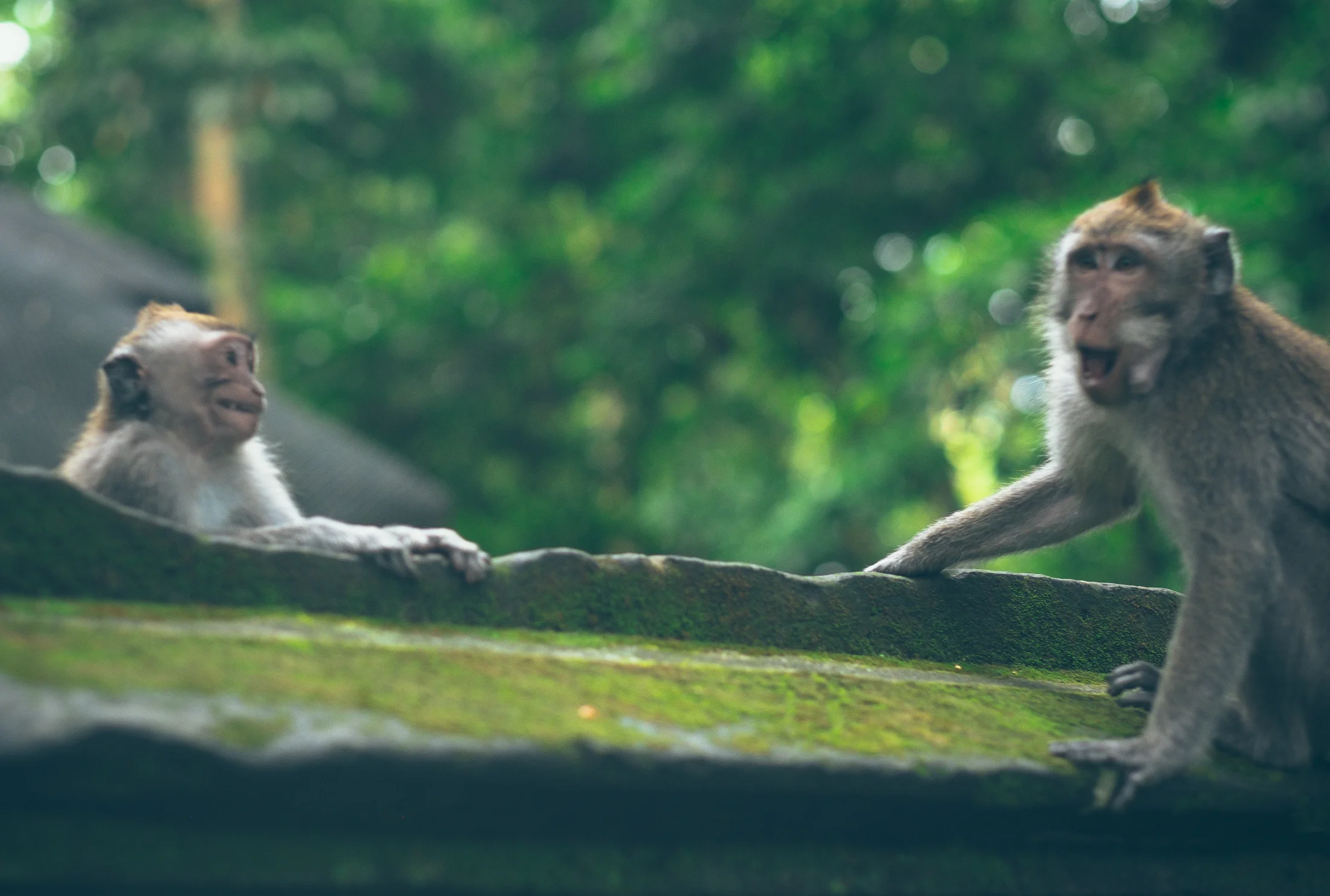 Looked like they were having a hilarious conversation..