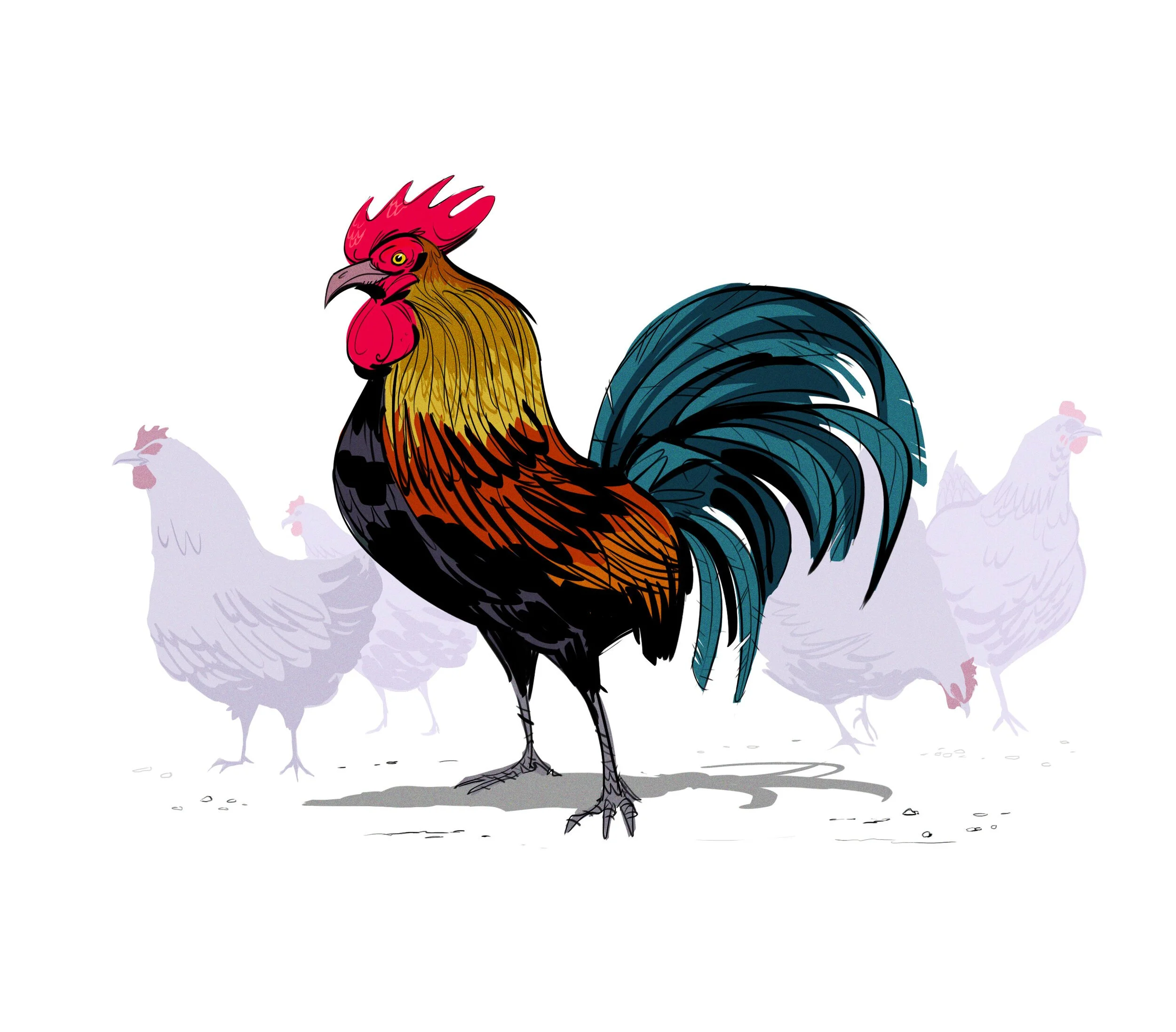 Rooster+2.jpg