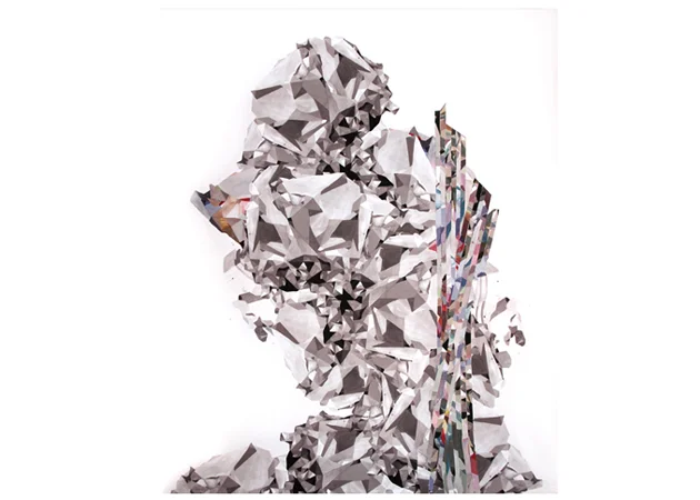 Rock spine, 2011, Collage From one off archival digital print on hahnemulle paper, 650x770mm, unframed