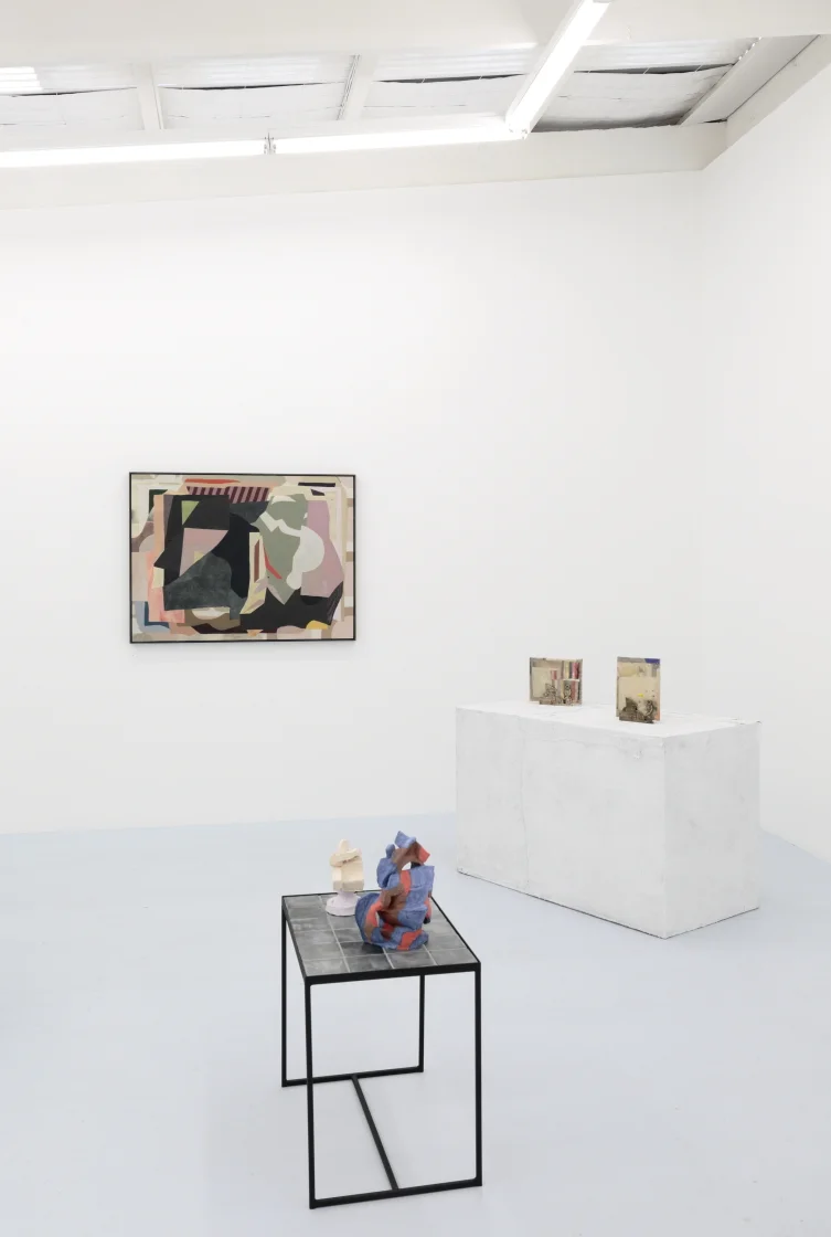  Installation view, ‘Manifold’ at Daine Singer, photo by Tim Gresham 