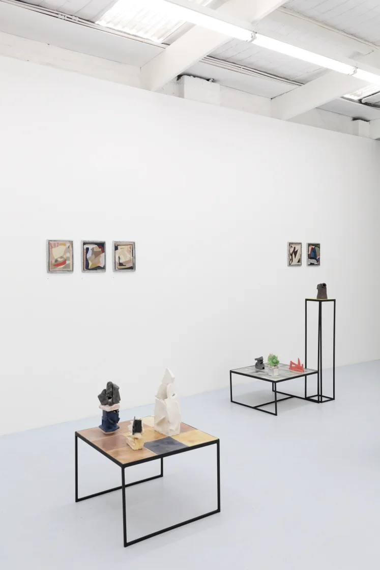  Installation view, ‘Manifold’ at Daine Singer, photo by Tim Gresham 
