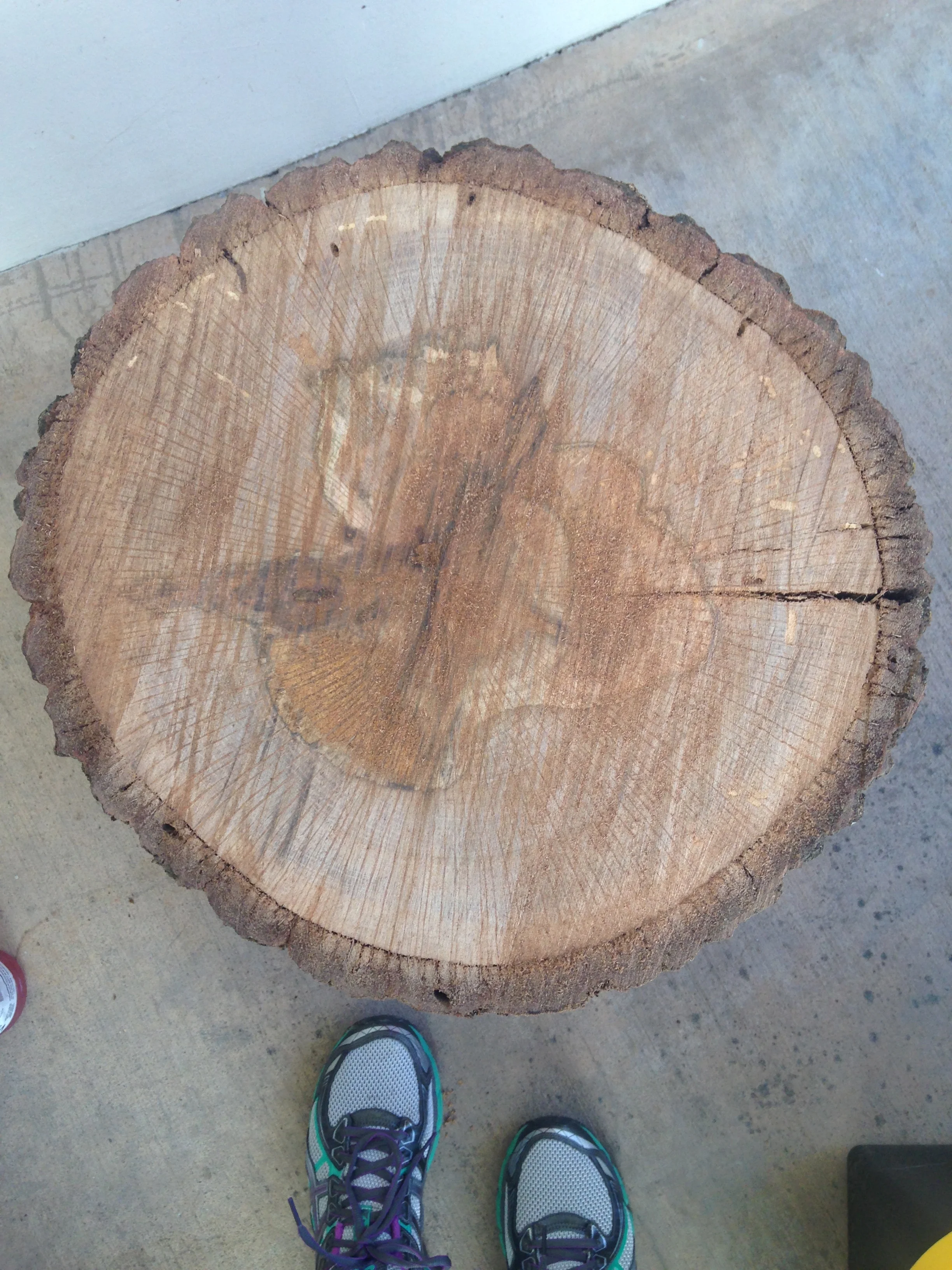 Ready for some sanding. 