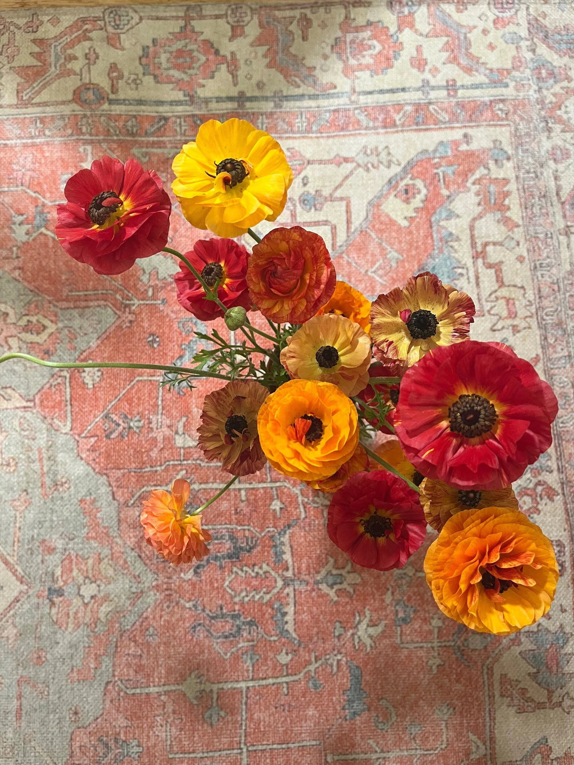 332142A9-266F-44B7-91F5-2E1D4625D2EE