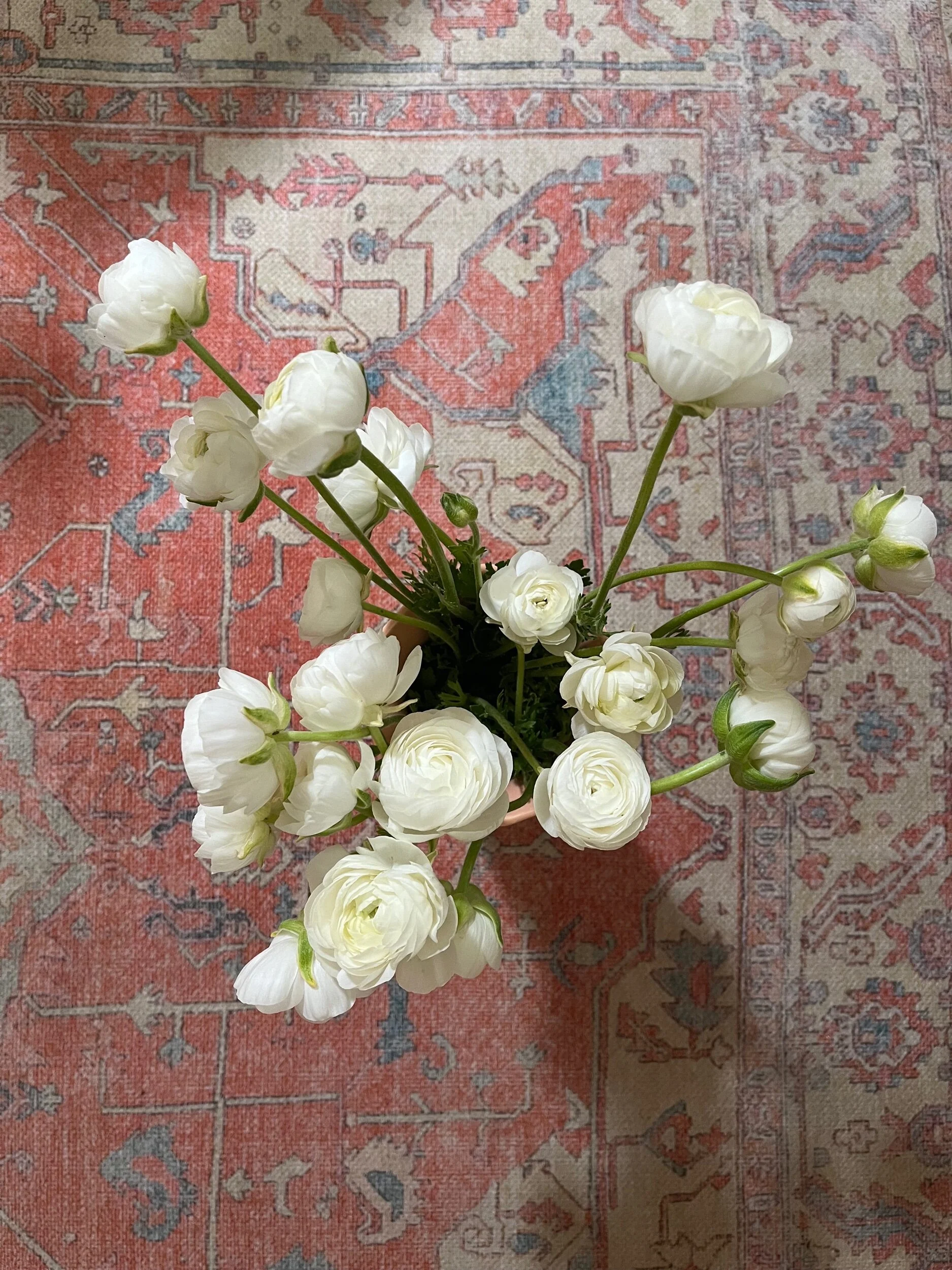 43BBD170-5738-485B-94B5-659BB15555B2