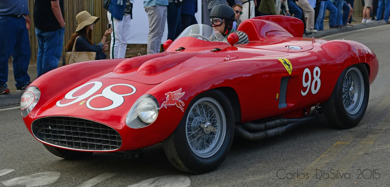 DSC_7876.JPG